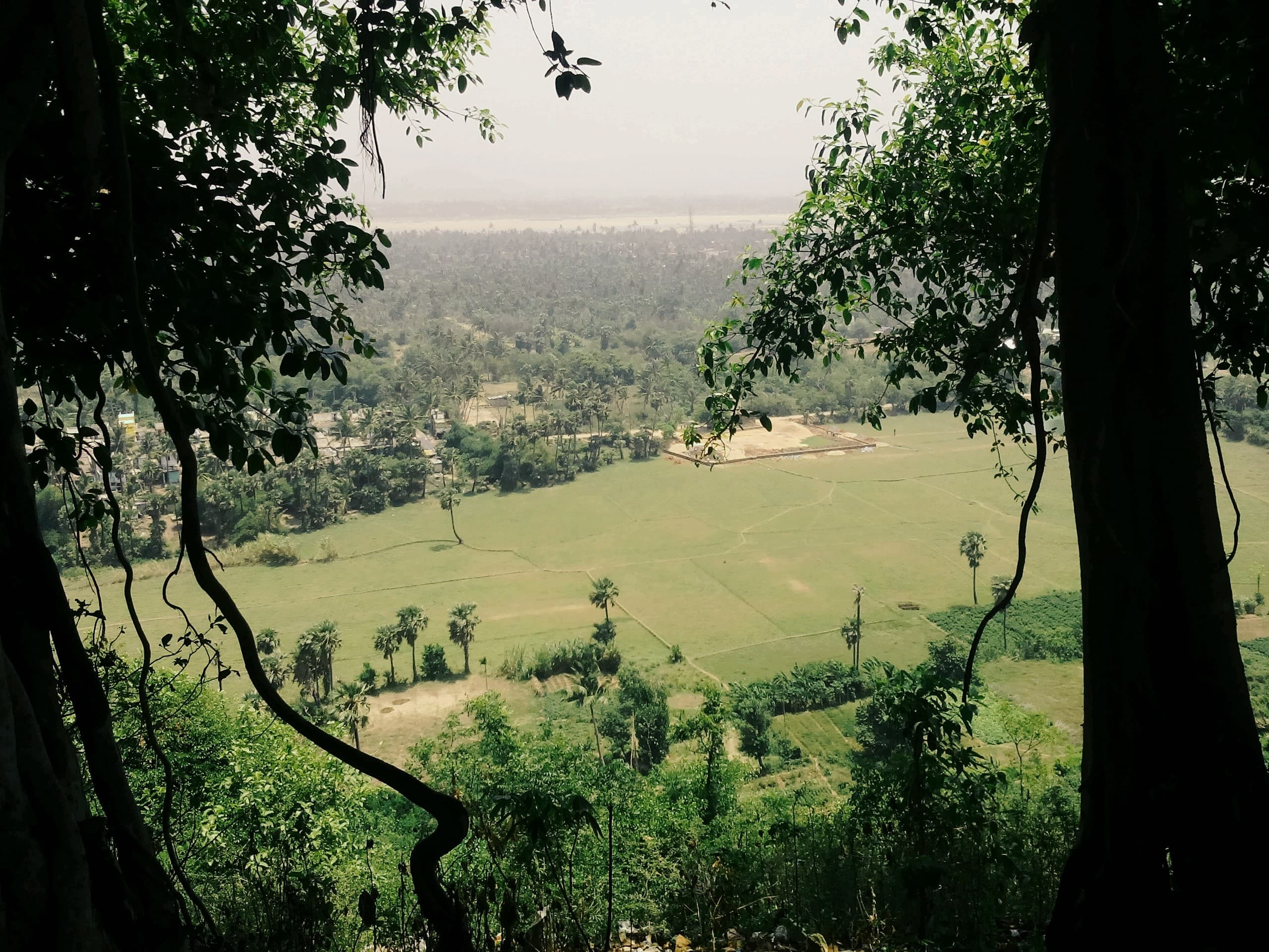 beautiful view