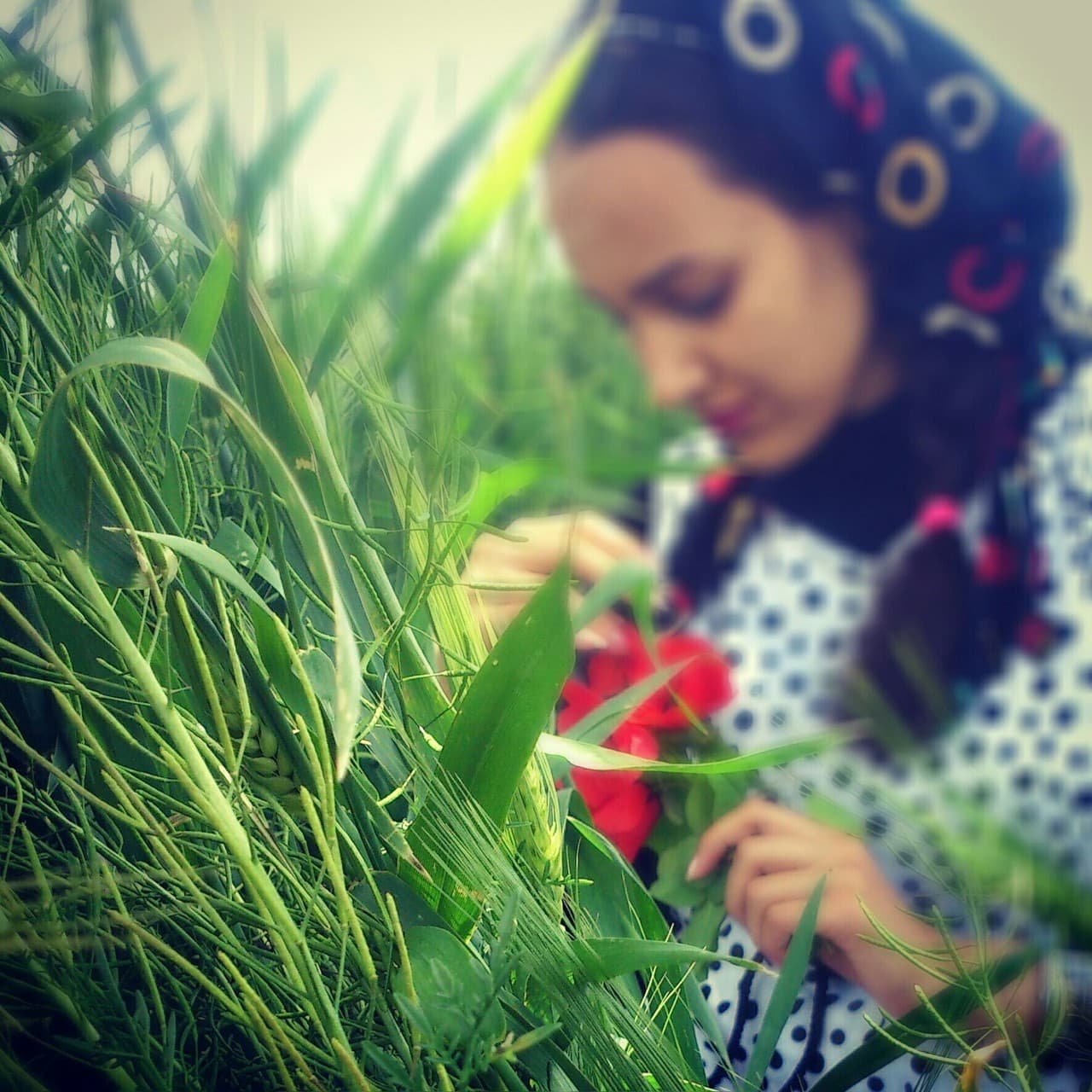 flower