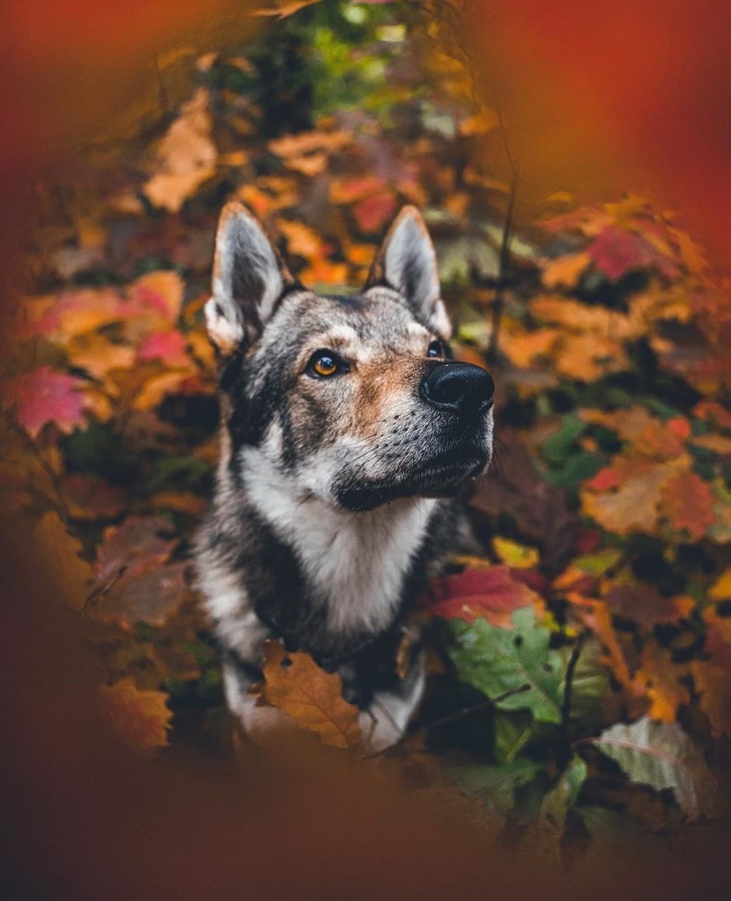 ☺️☺️☺️