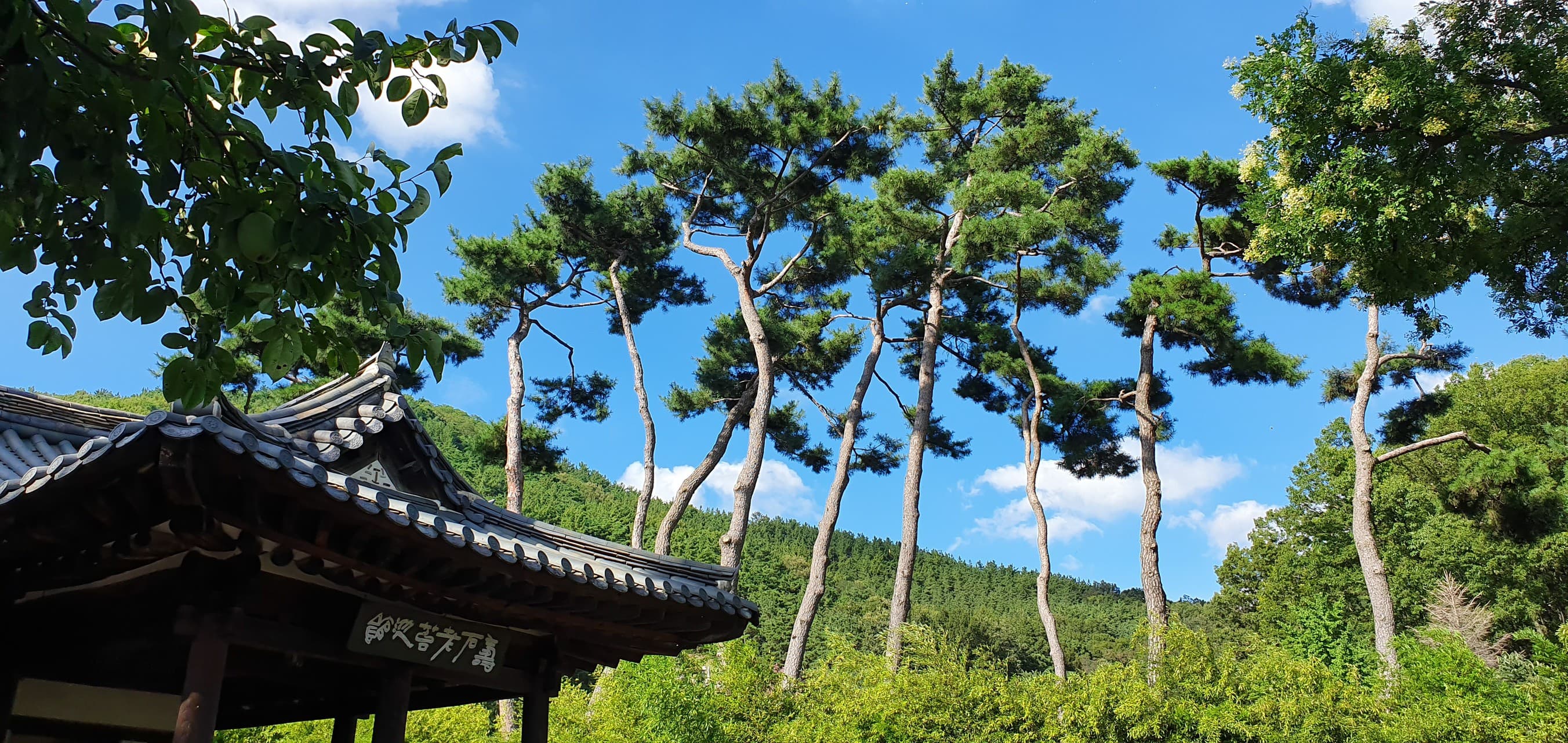 한국