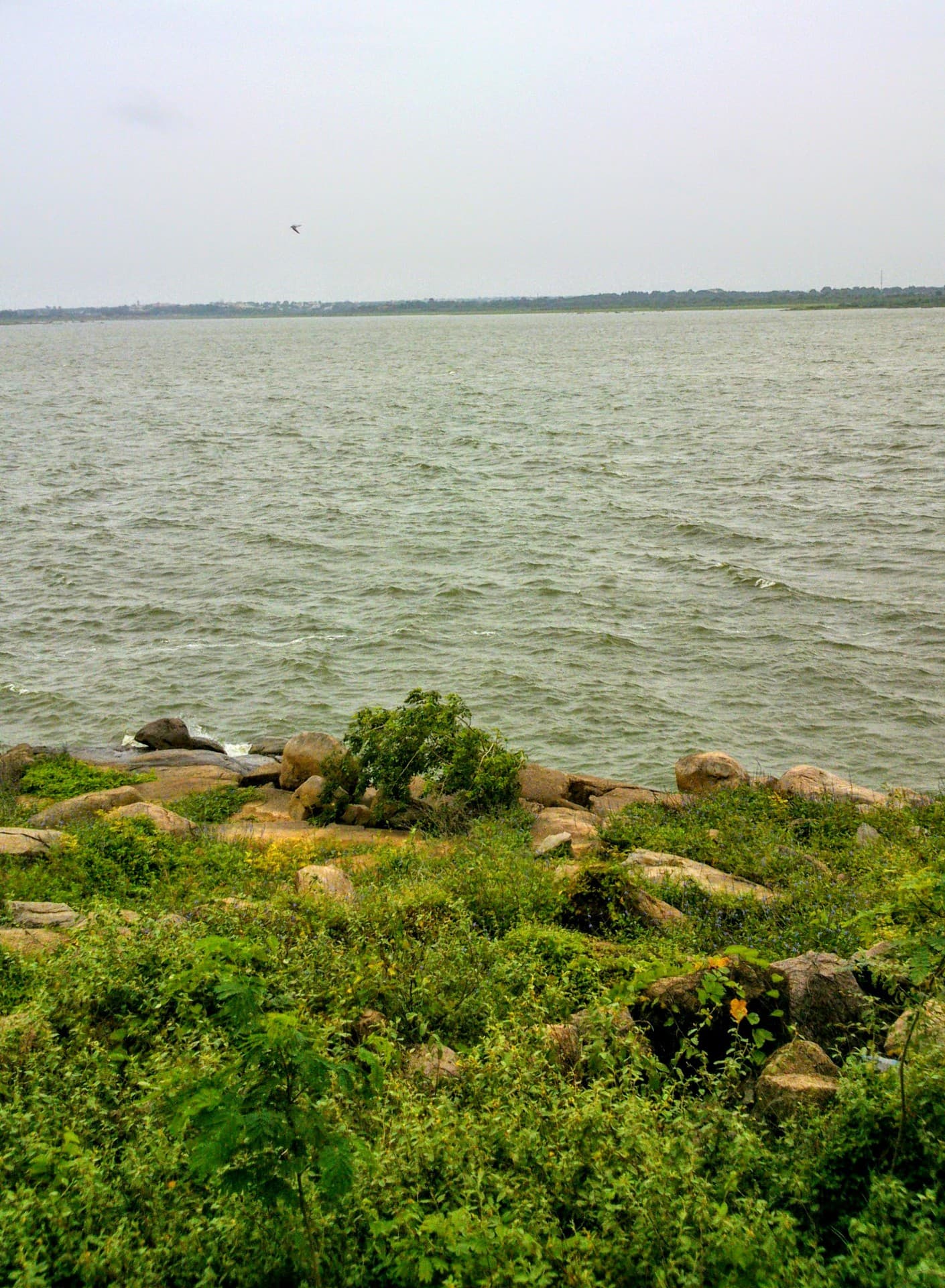river
