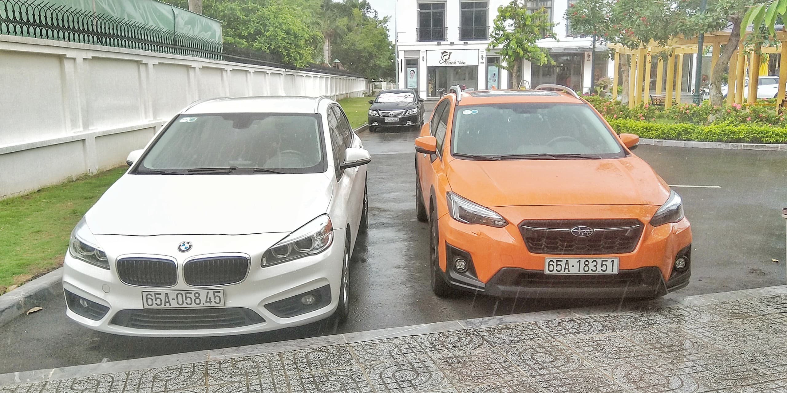 BMW & Subaru