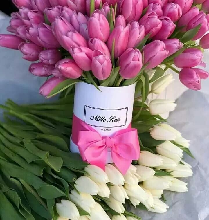 خهعص