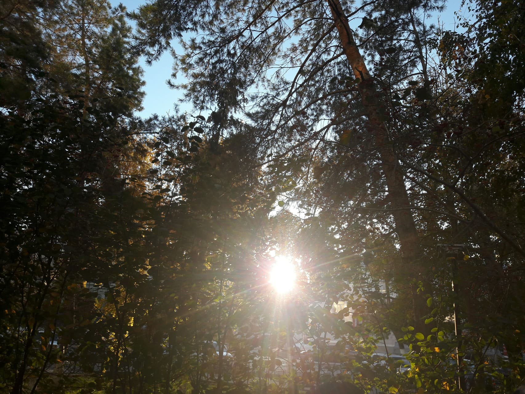 #nature