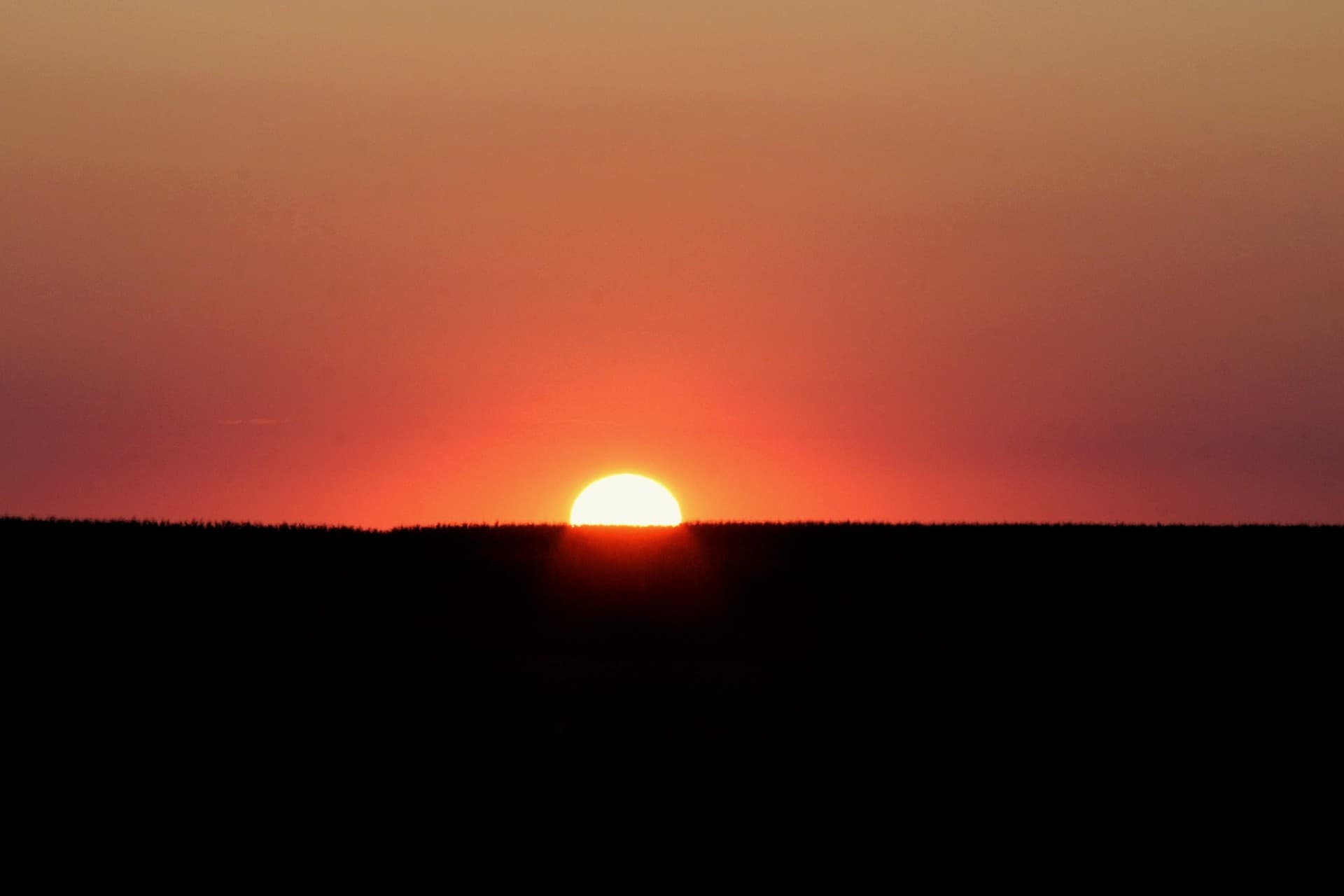 sunrise