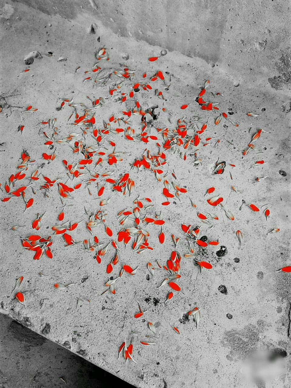 red - gray