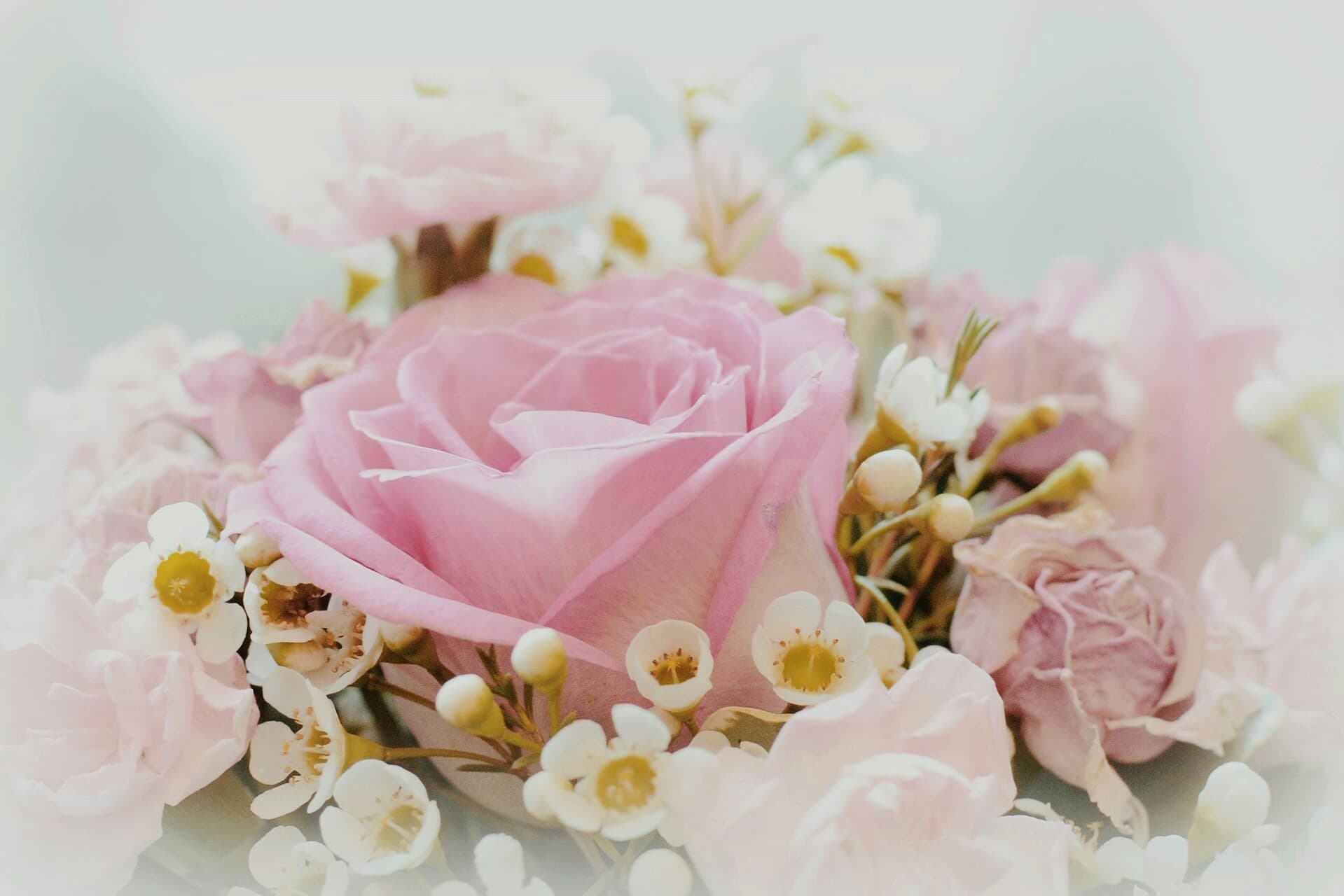 ketümel von blumen