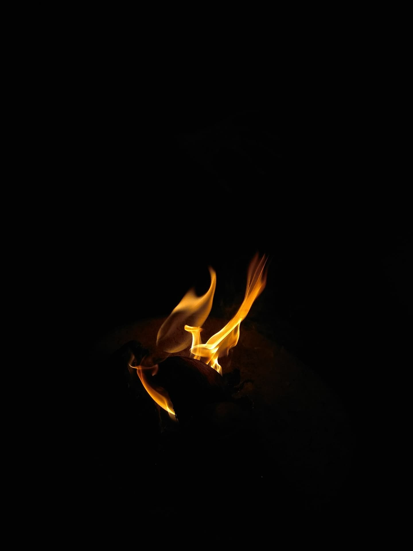 dragon in fire