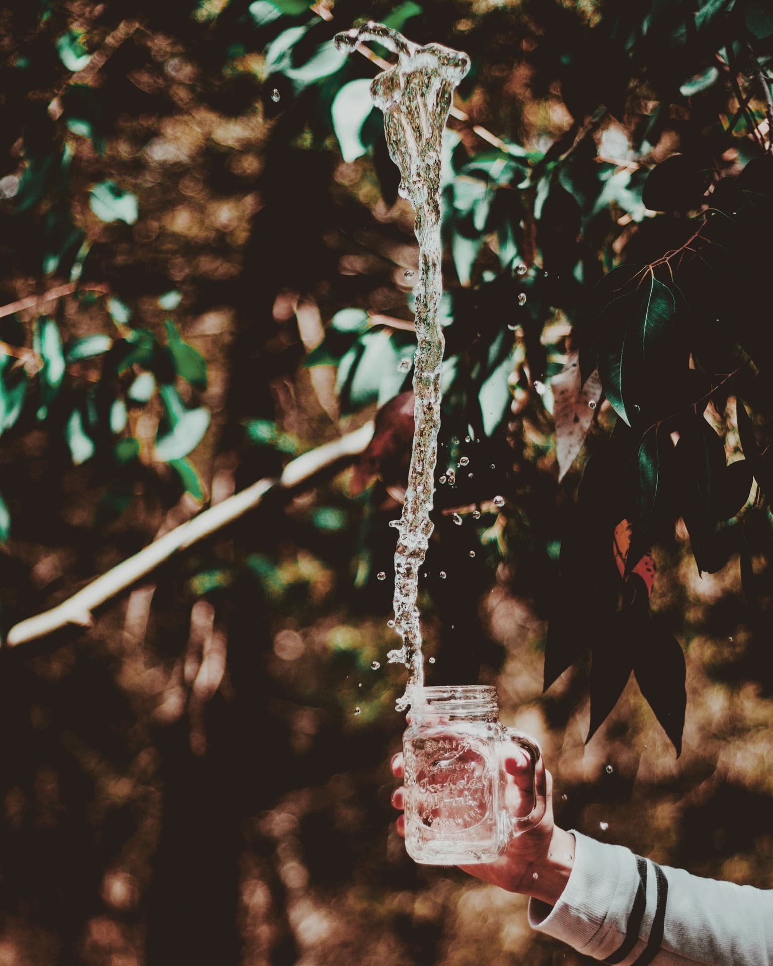 Nature