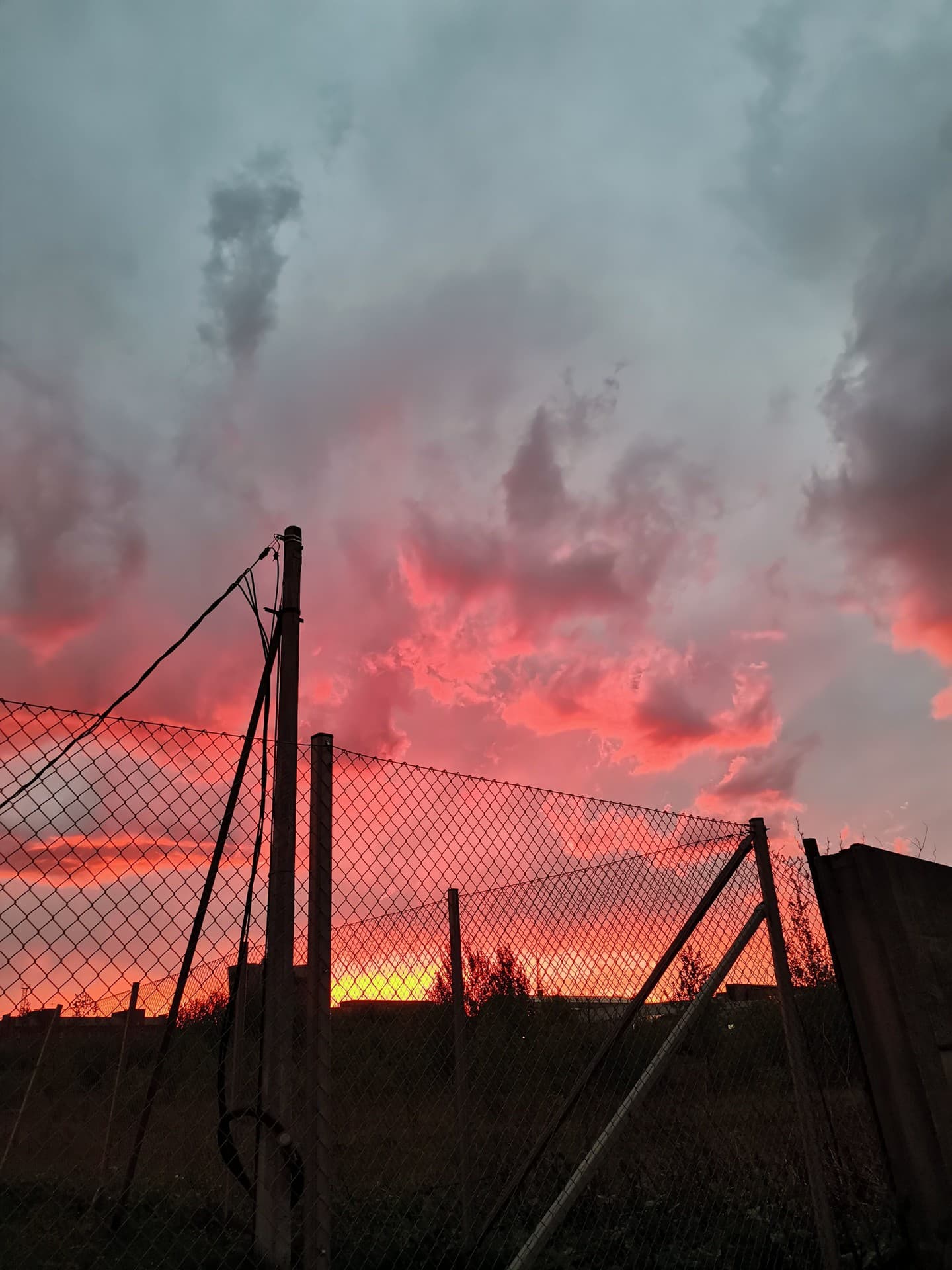 ~