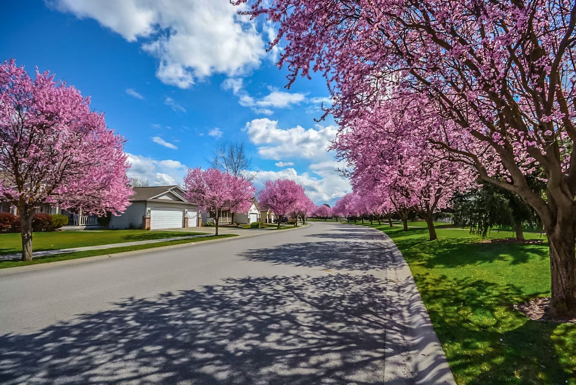 Spring Wallpaper