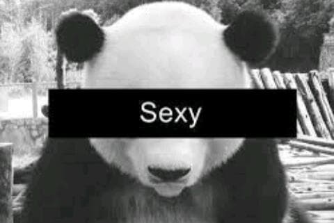 hahah