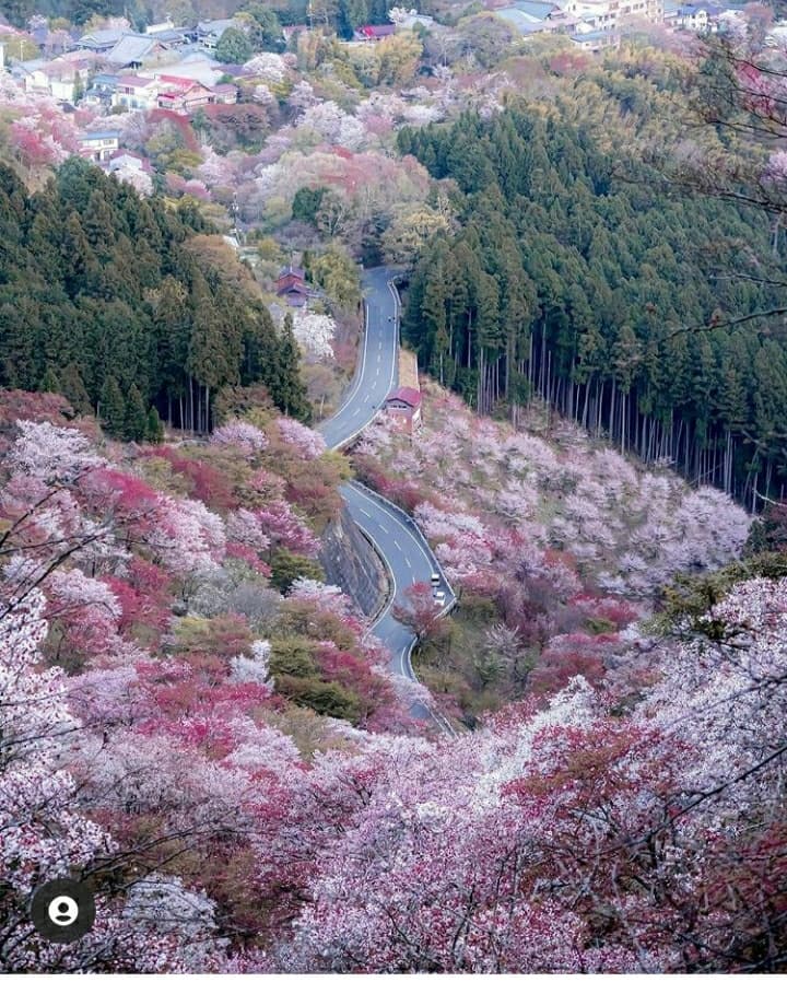 ❤️❤️