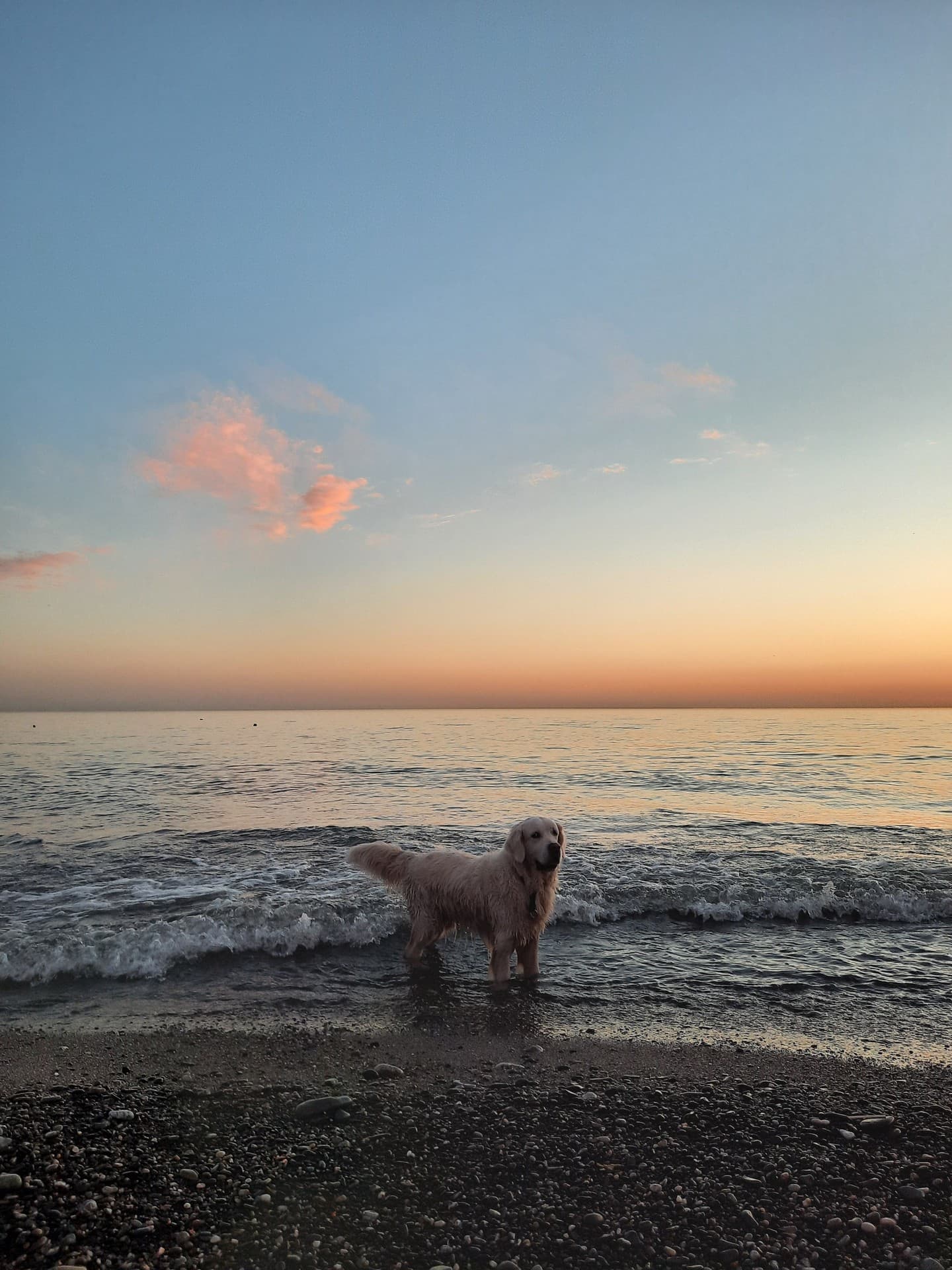 море