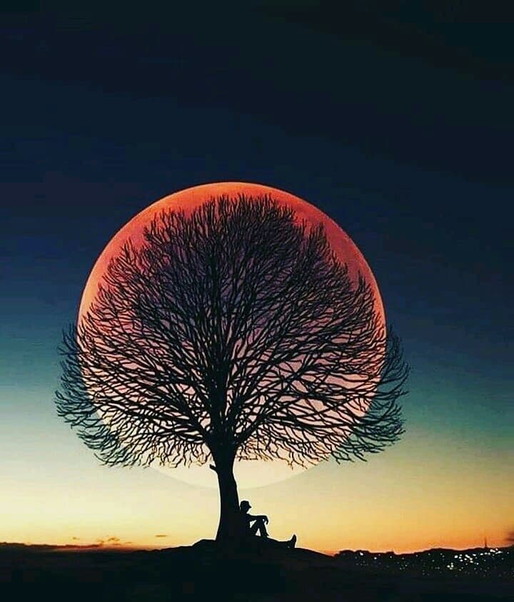 ,