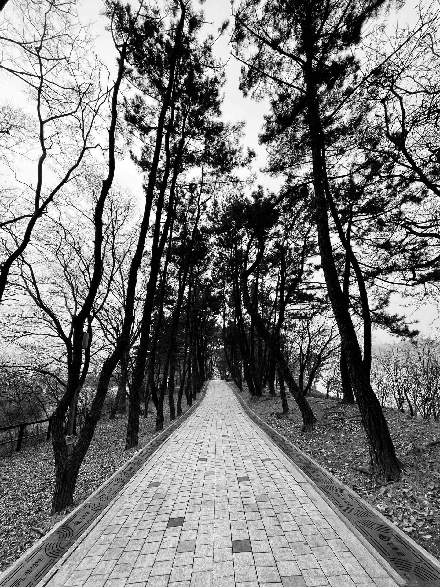 The road