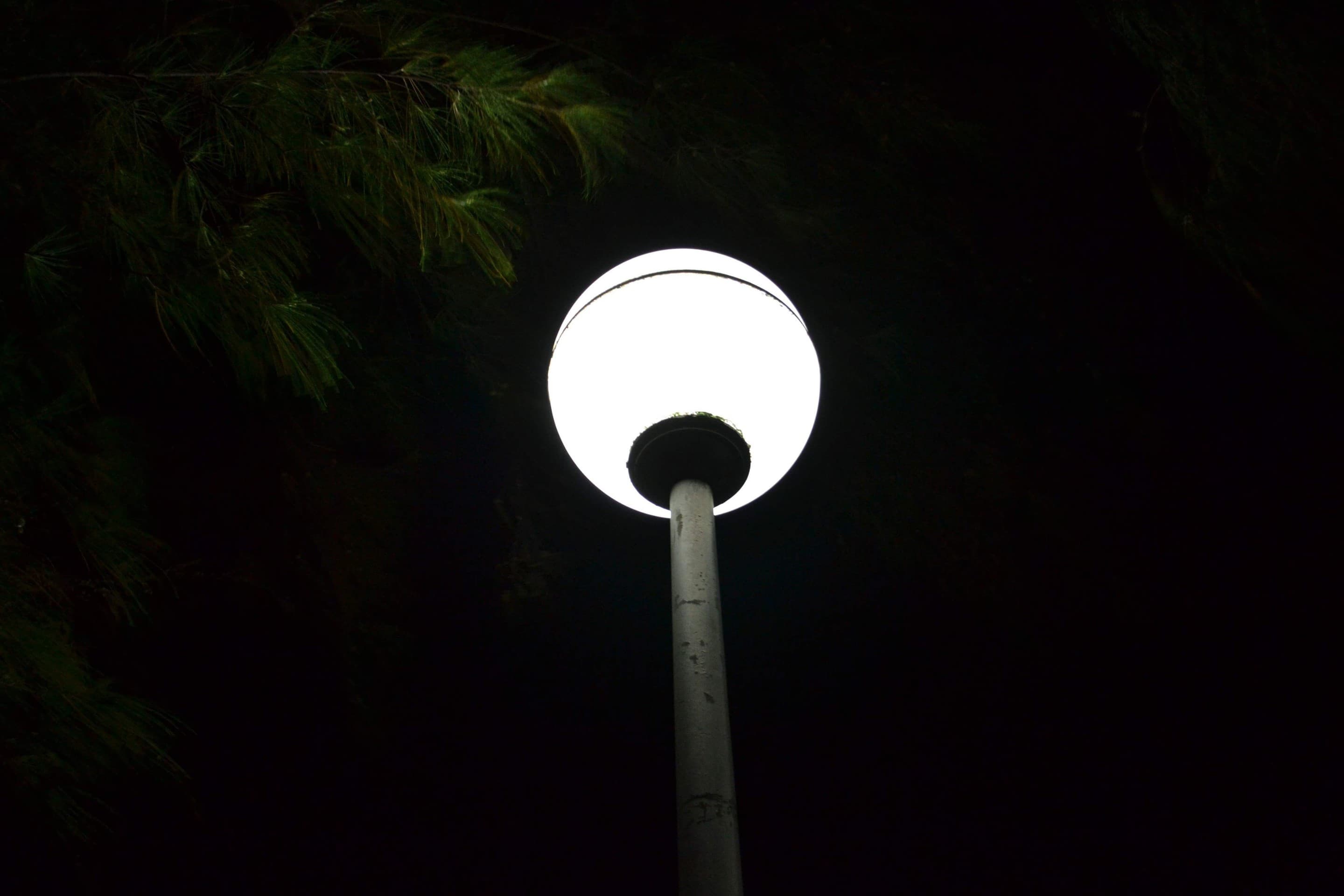 night