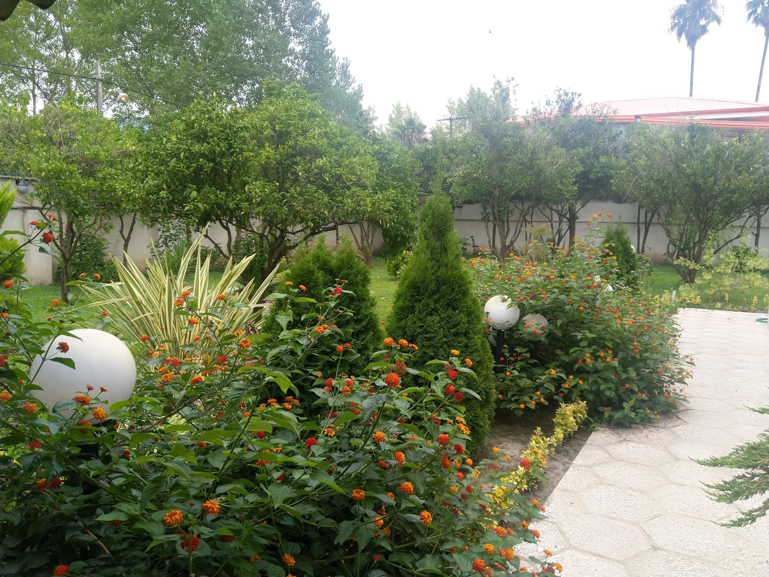 flower garden