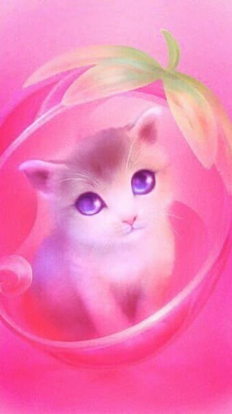quite cat