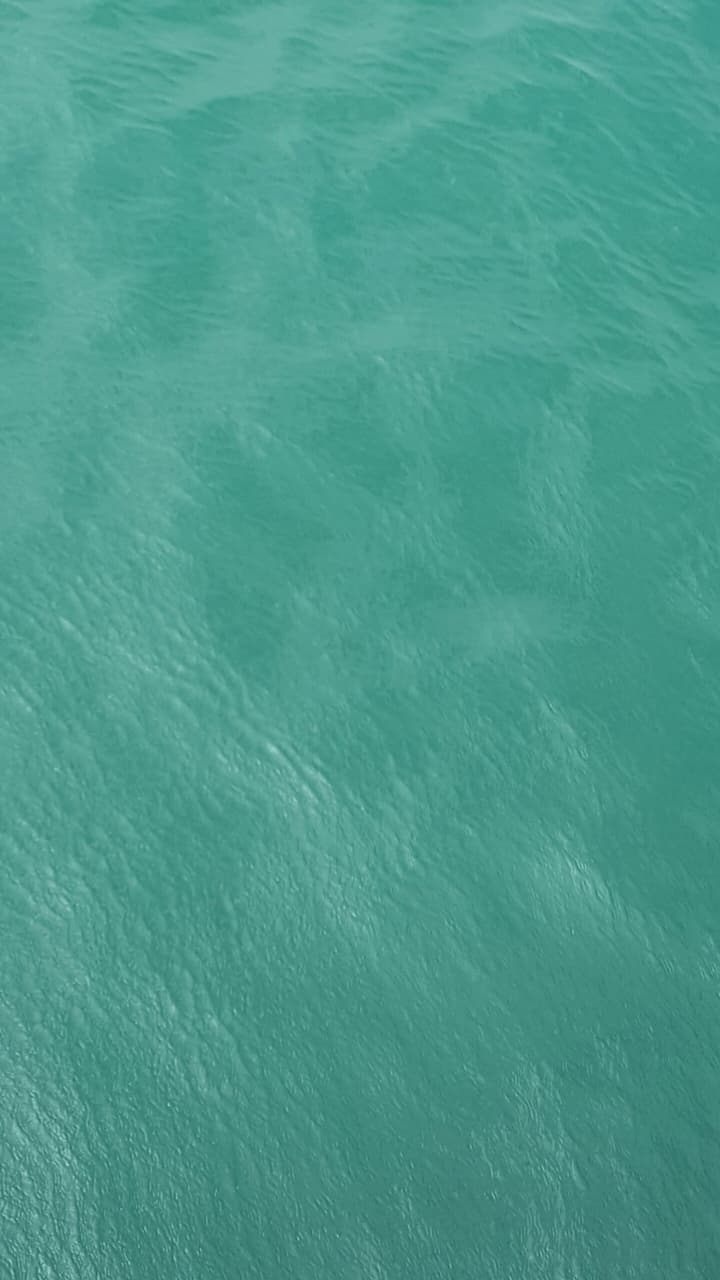 The Ocean
