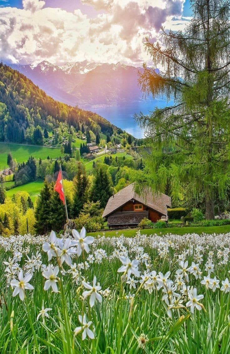 Nature