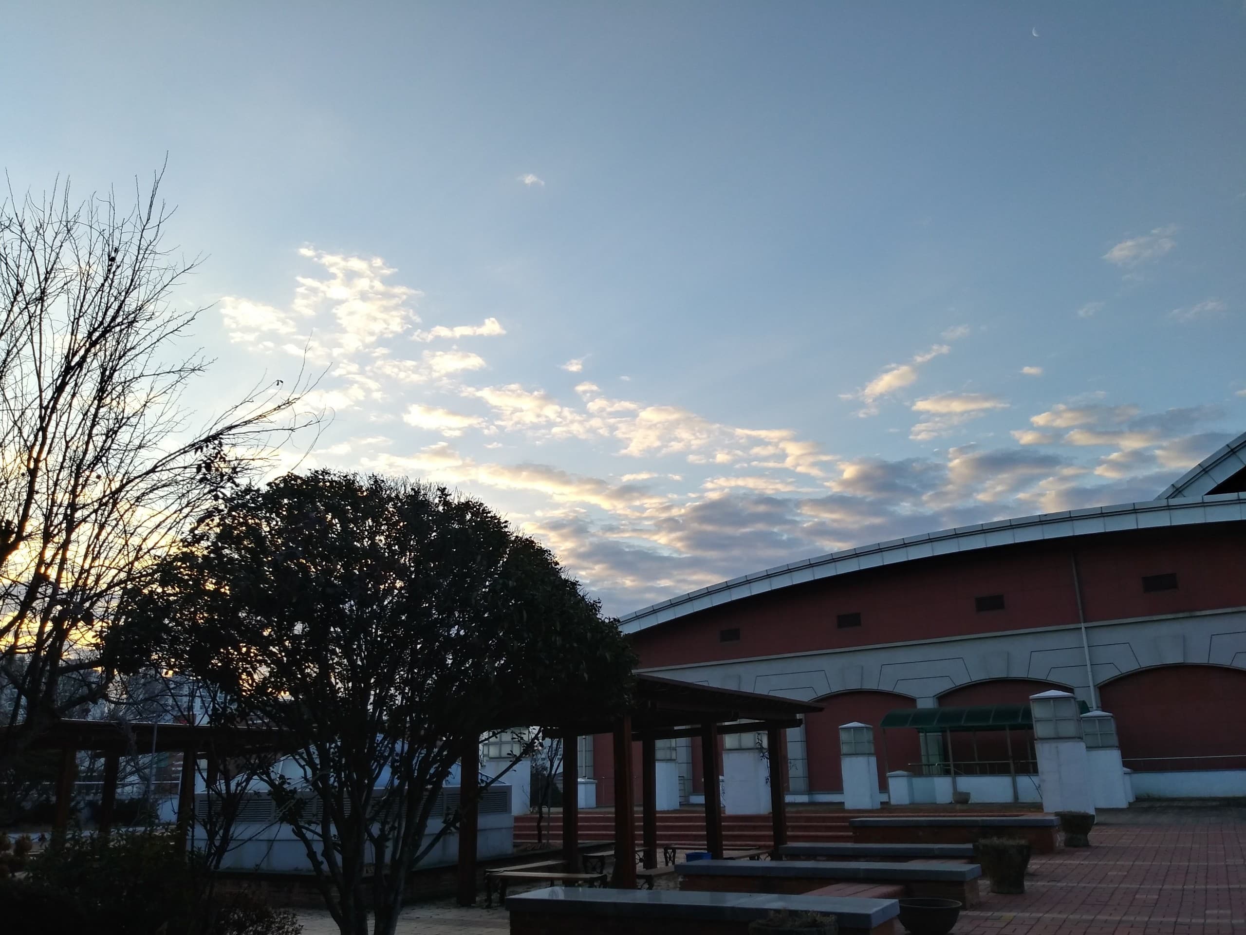 학교