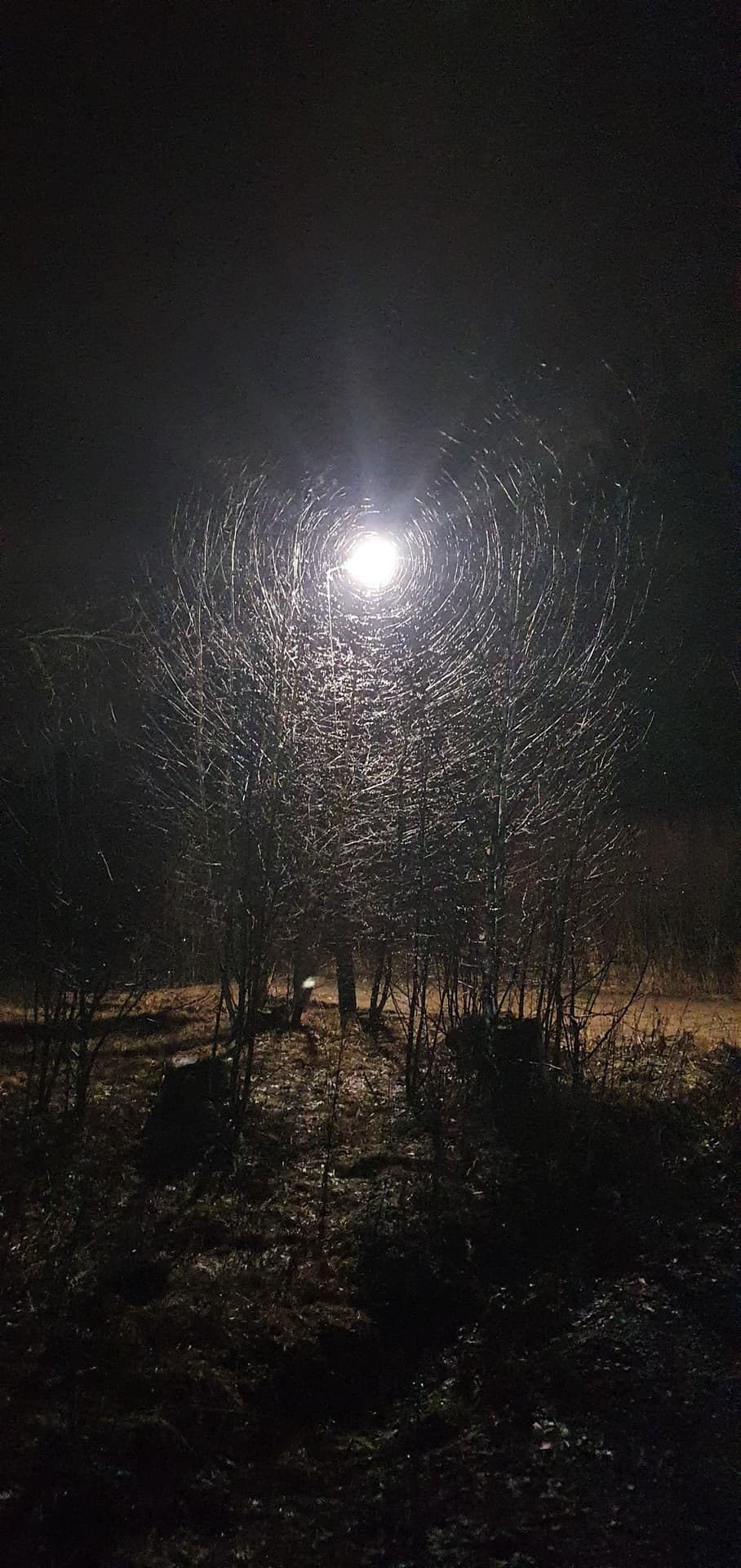 light