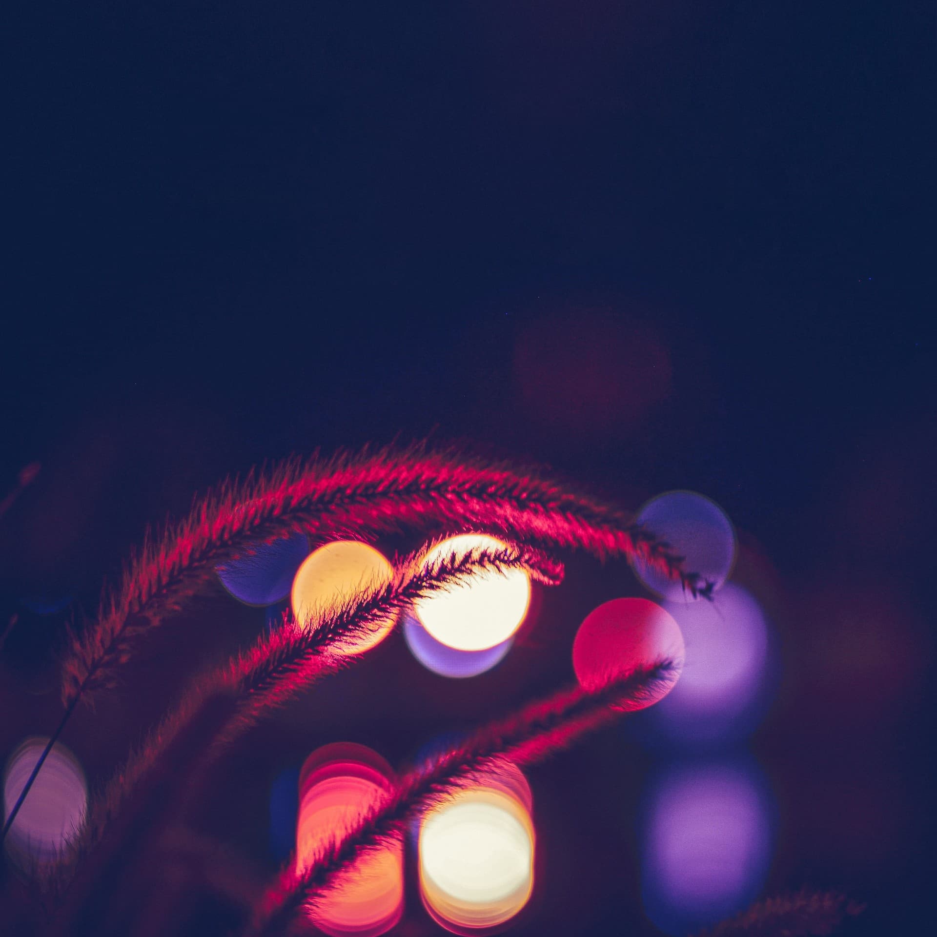 ColorfulBliss