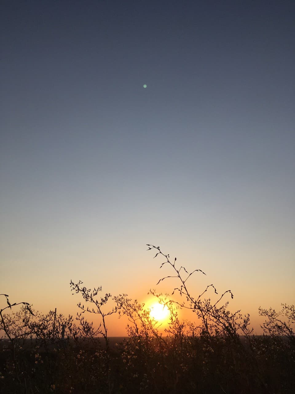 sunset