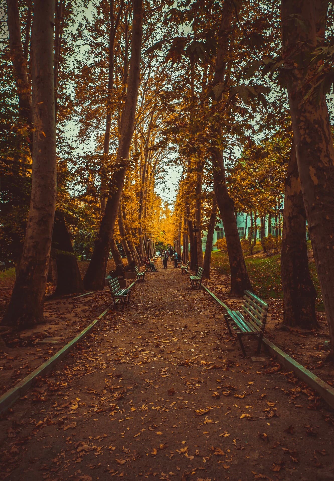 do u like autumn