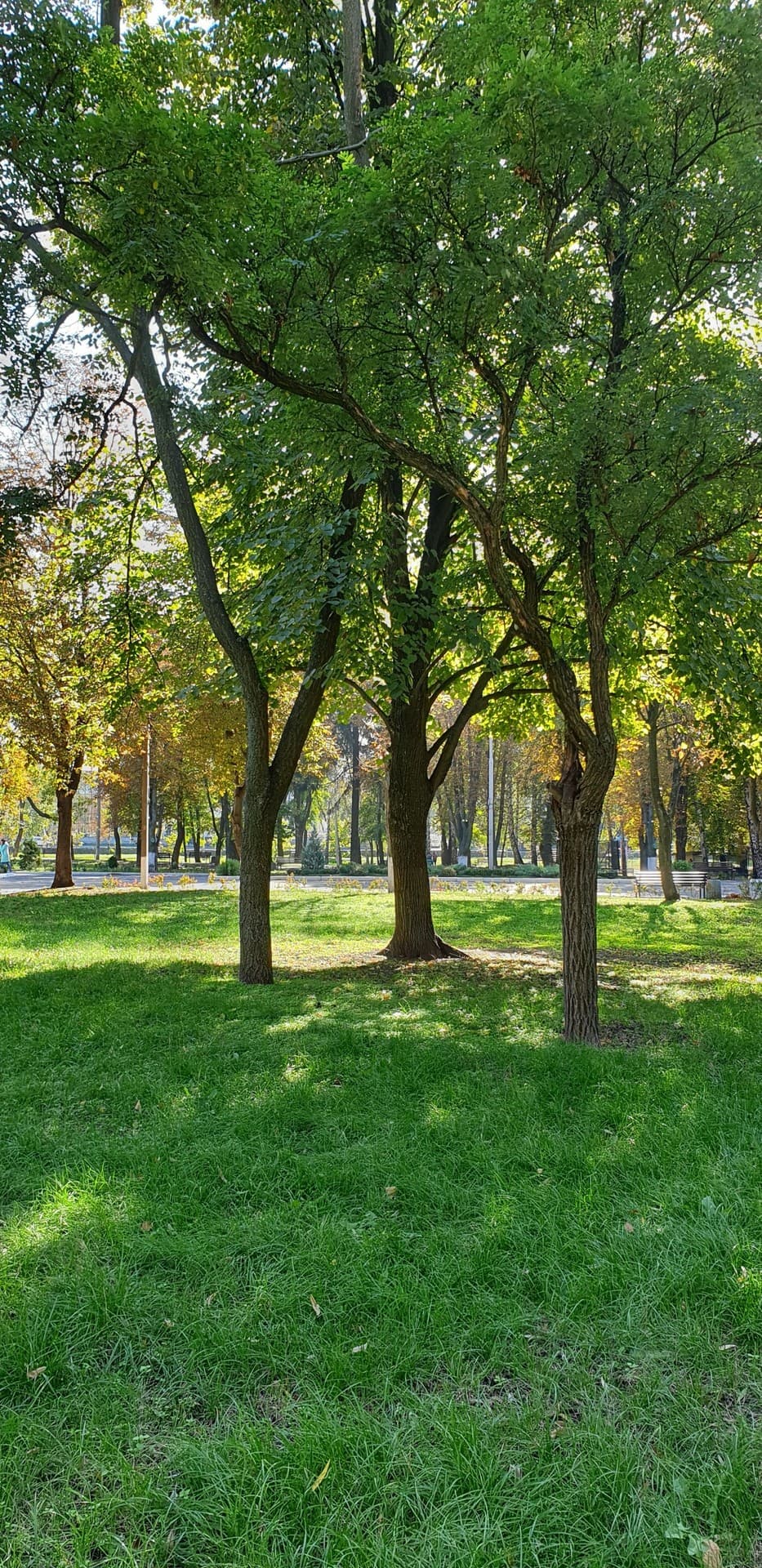 осенний парк