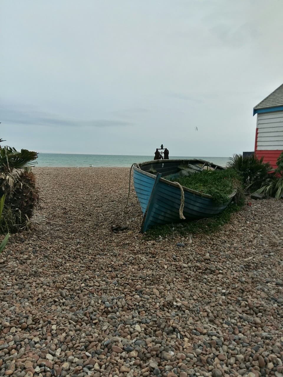 Brighton
