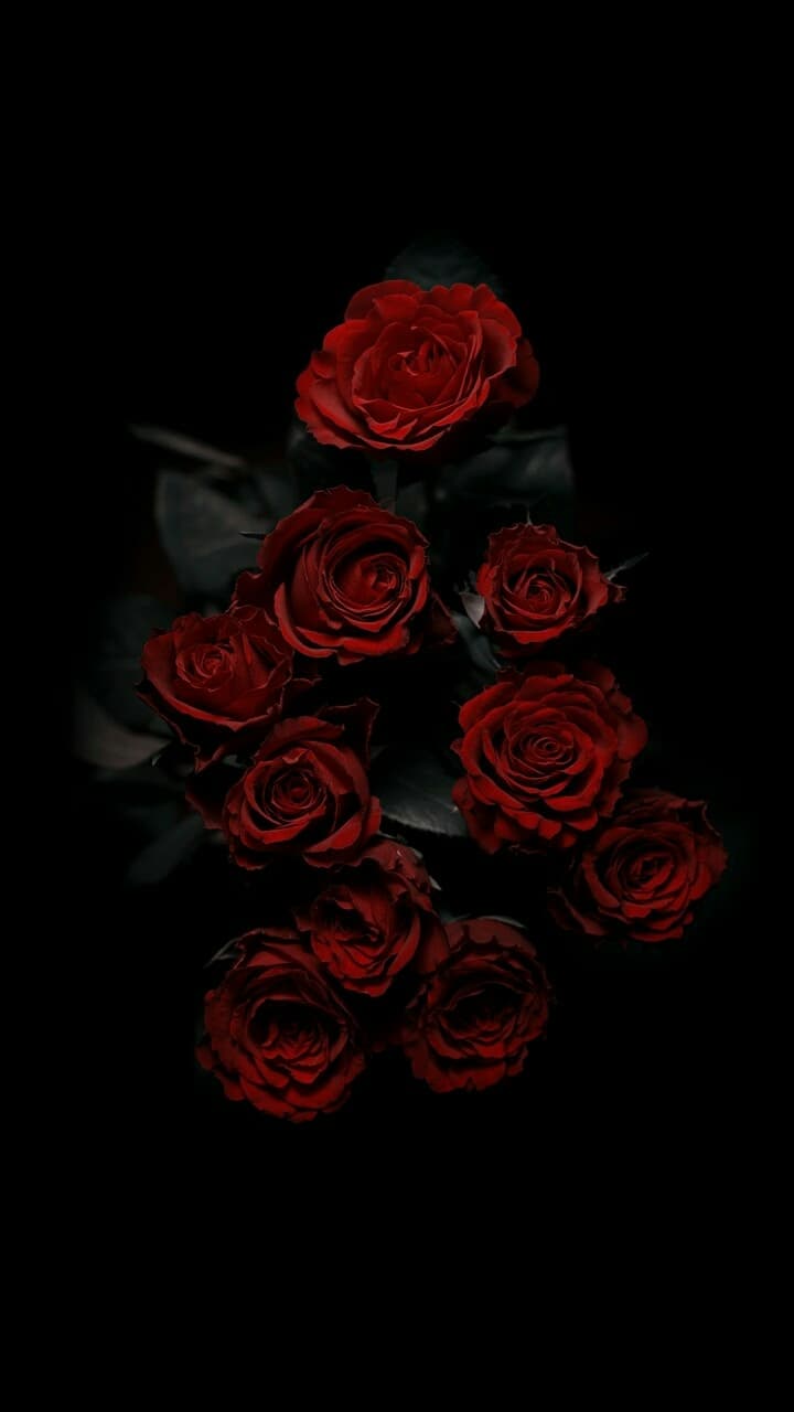 Roses