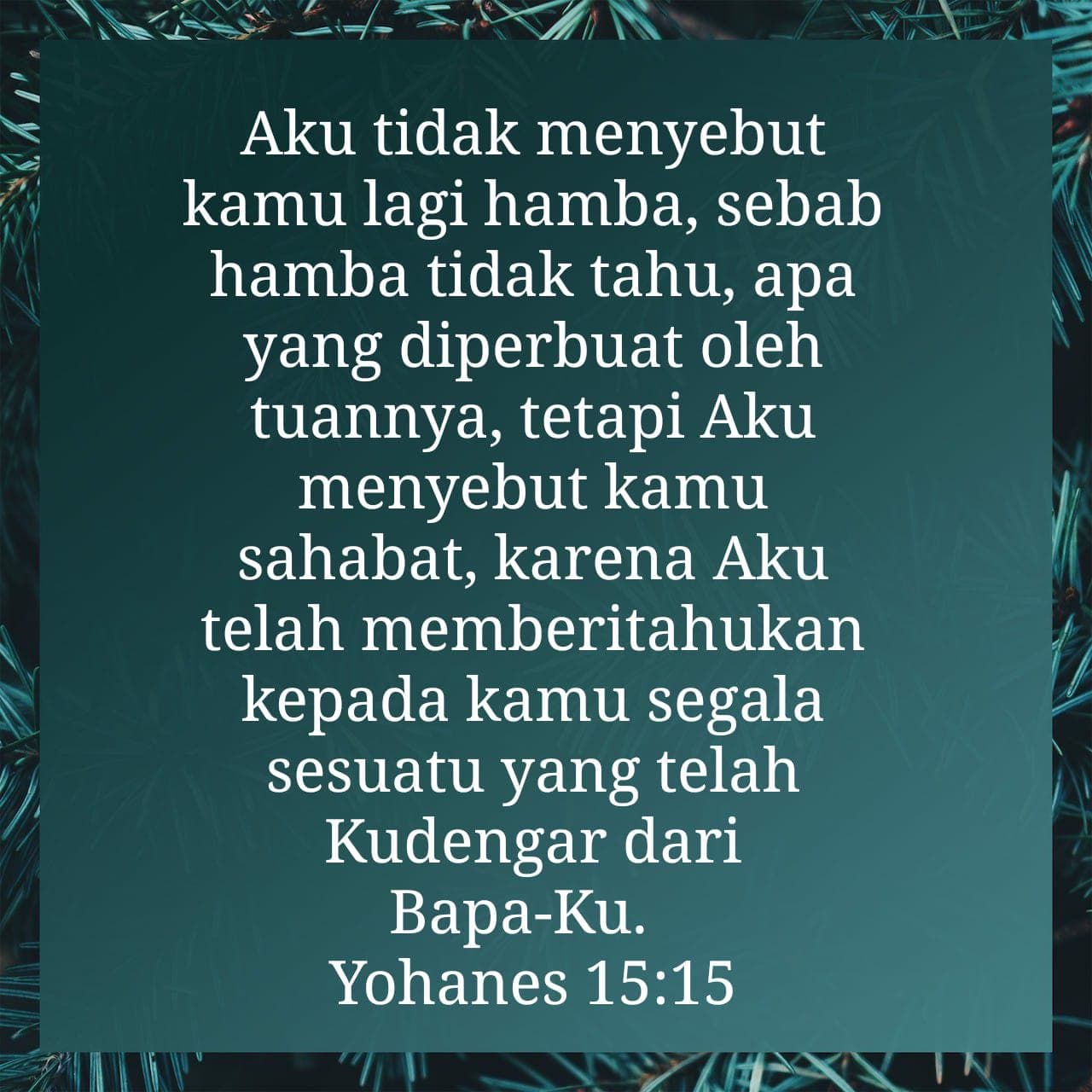 Yohanes 15:15