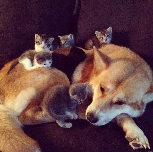 Love