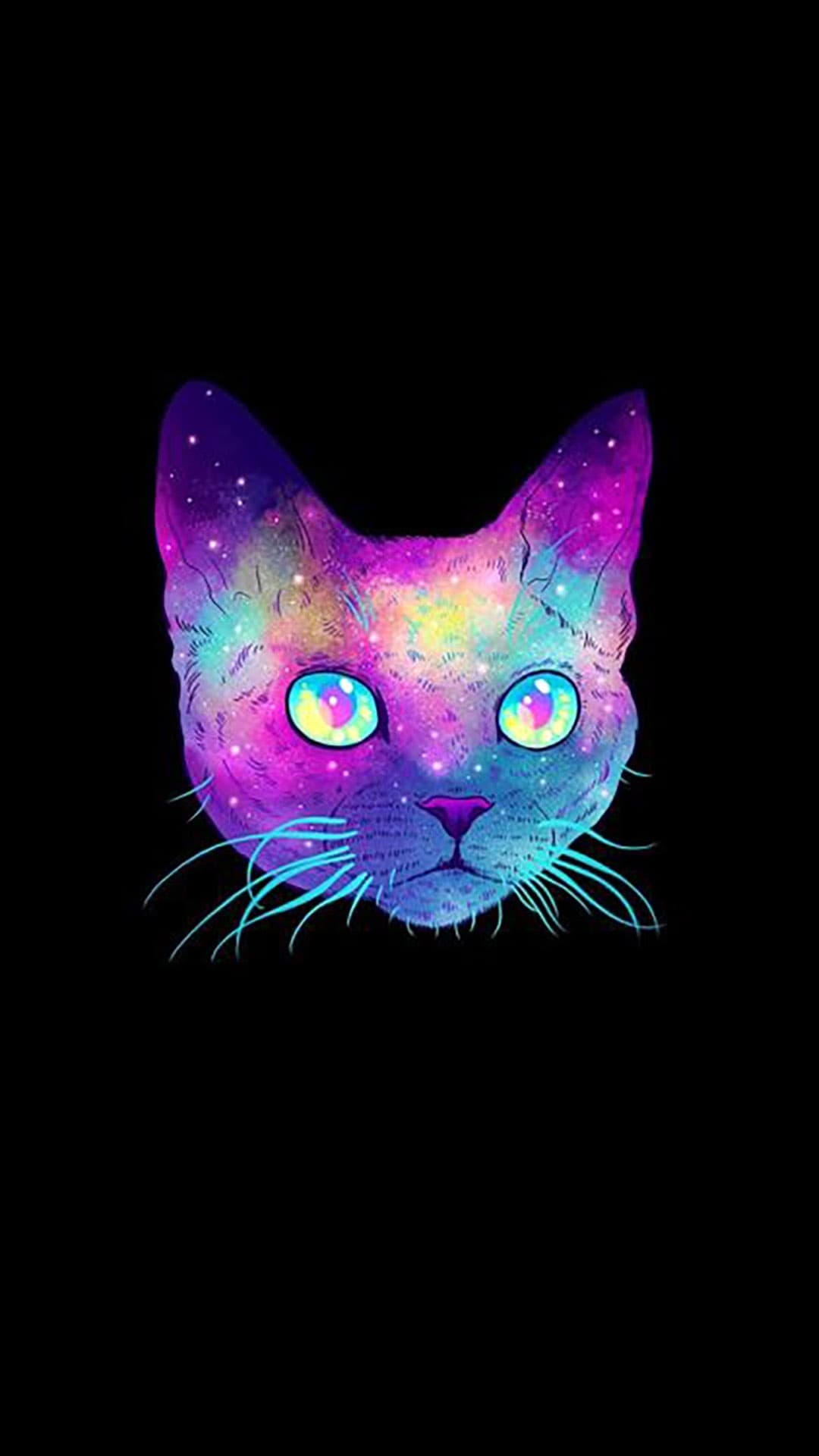 котик