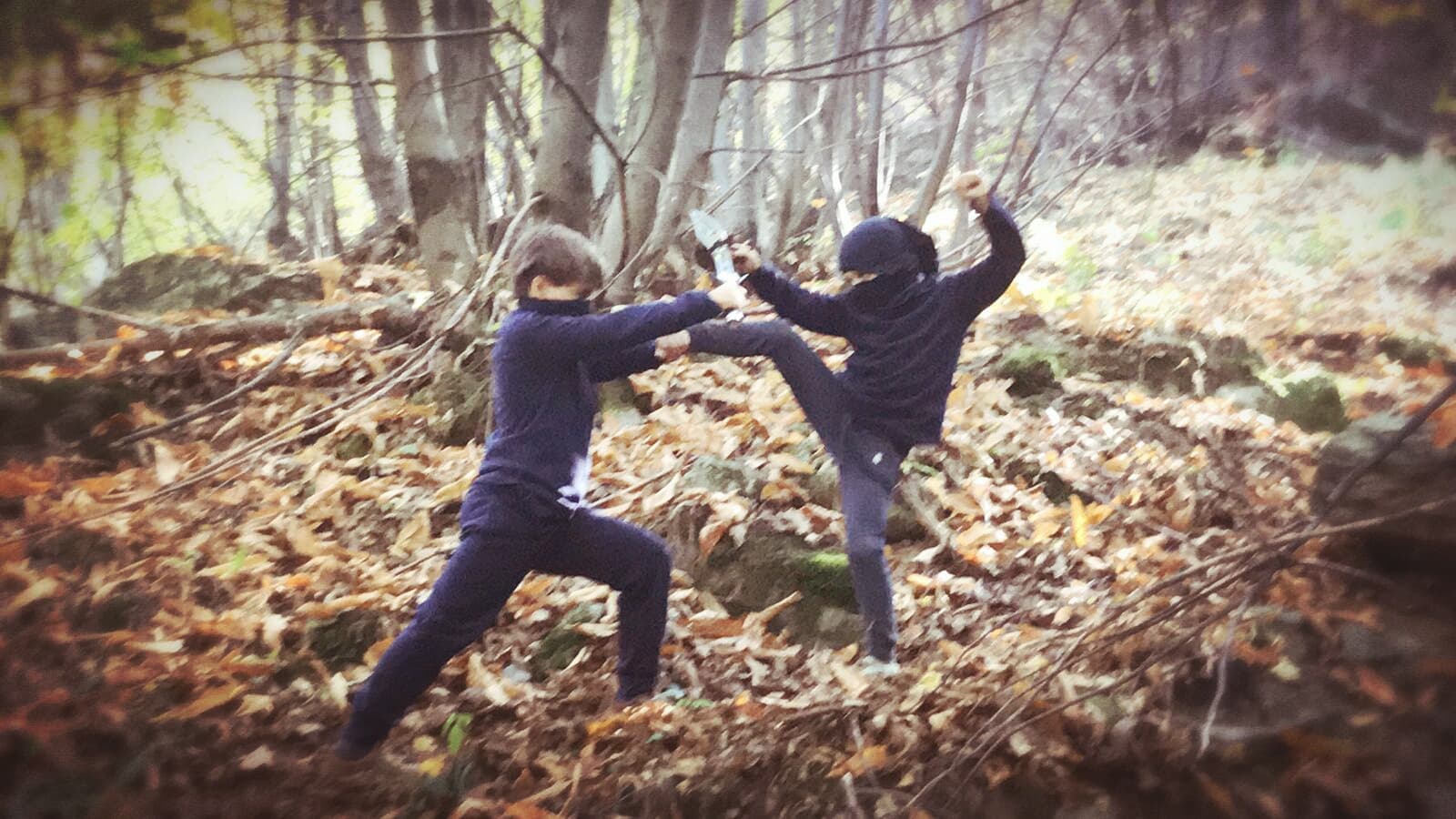 ninjia
