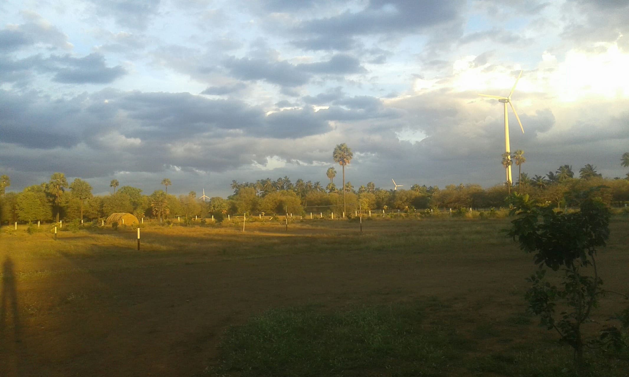 Natural Landscape