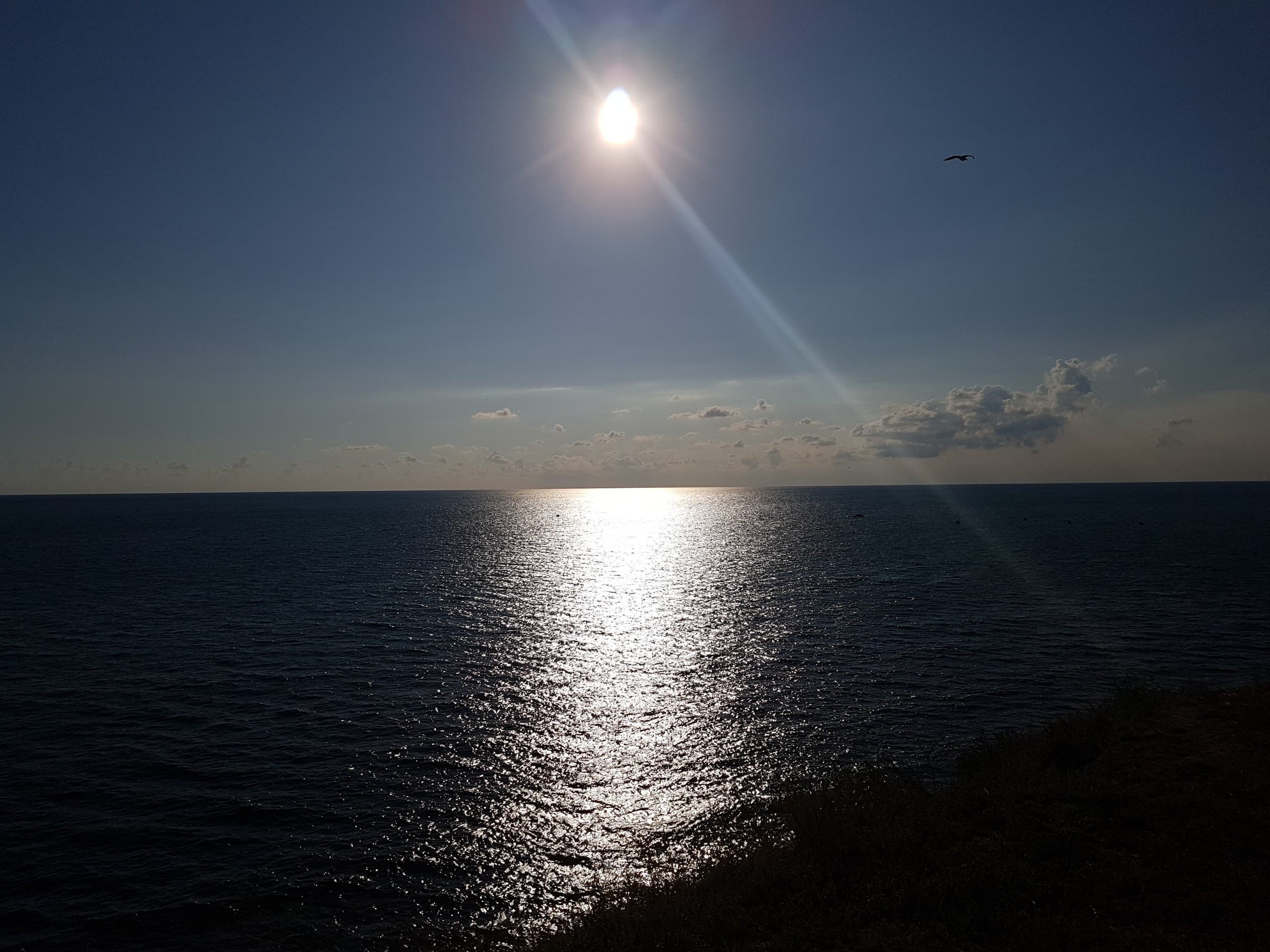 море