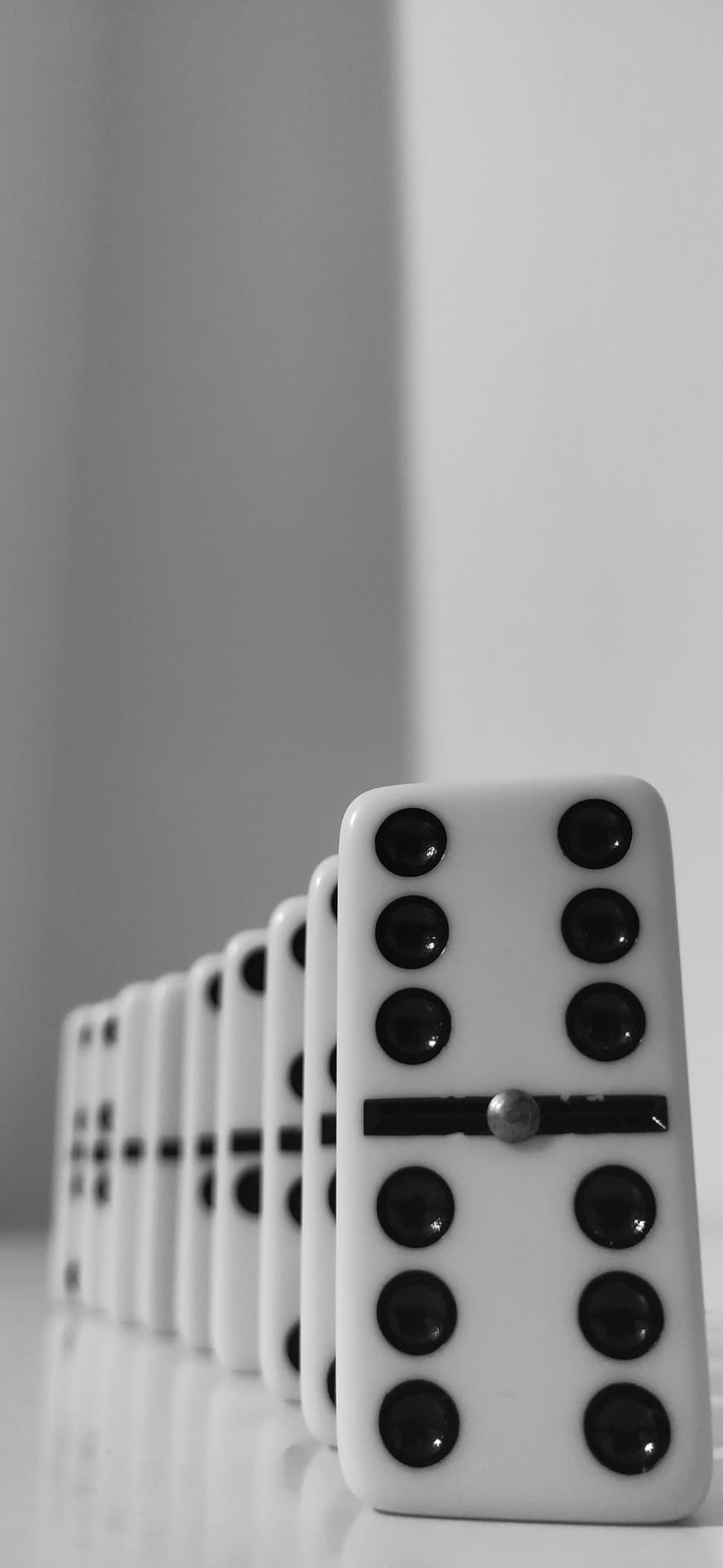 domino