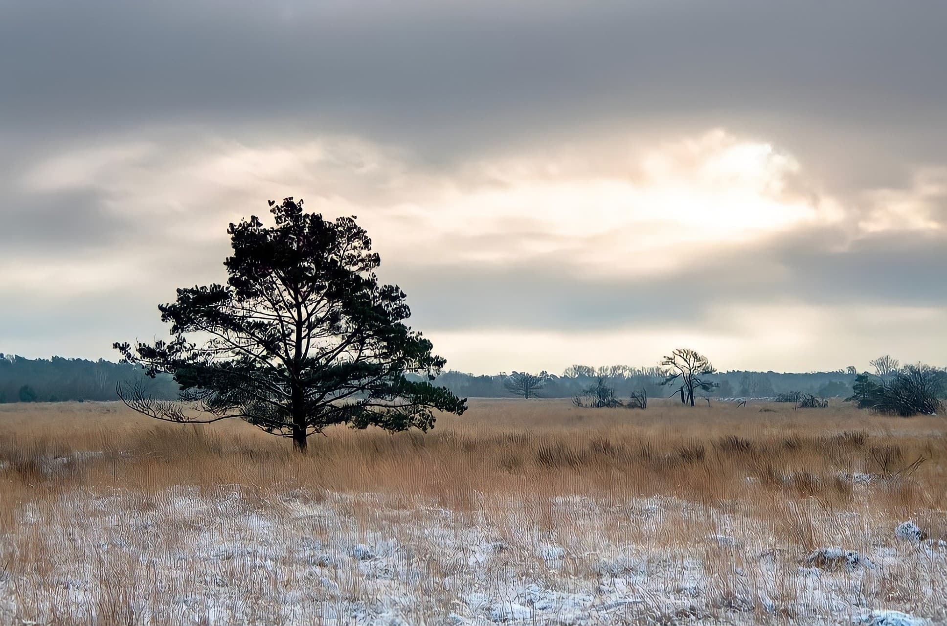 winter