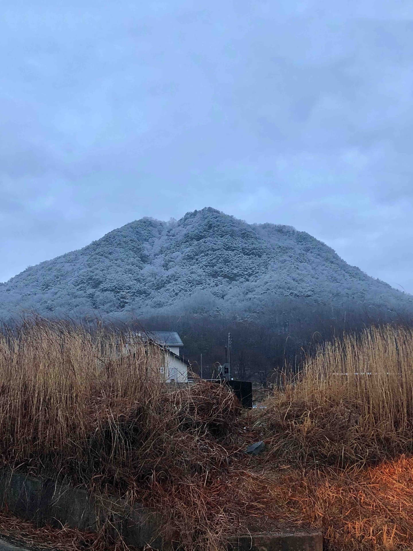 설산