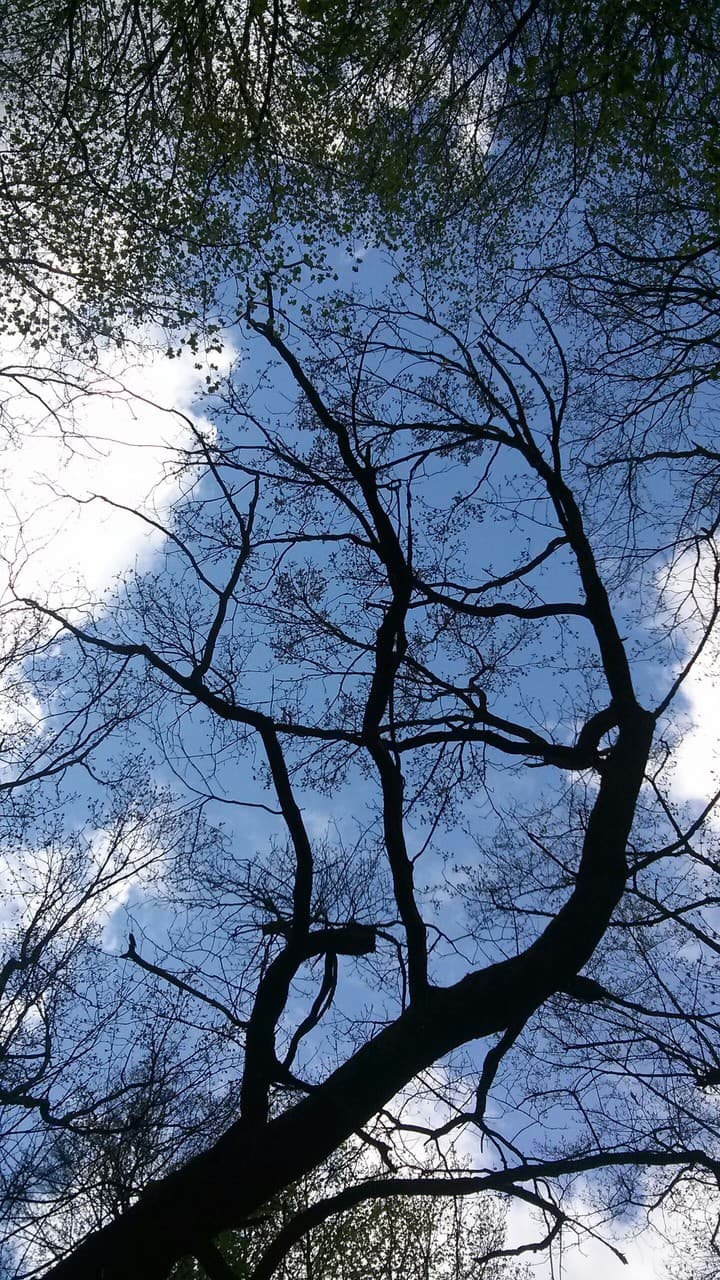 blue sky