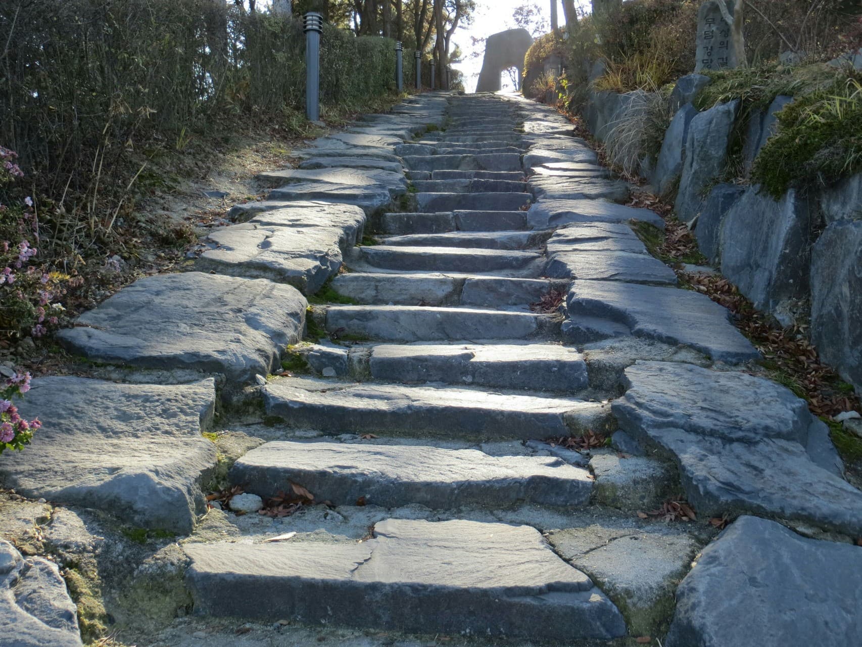 Steps