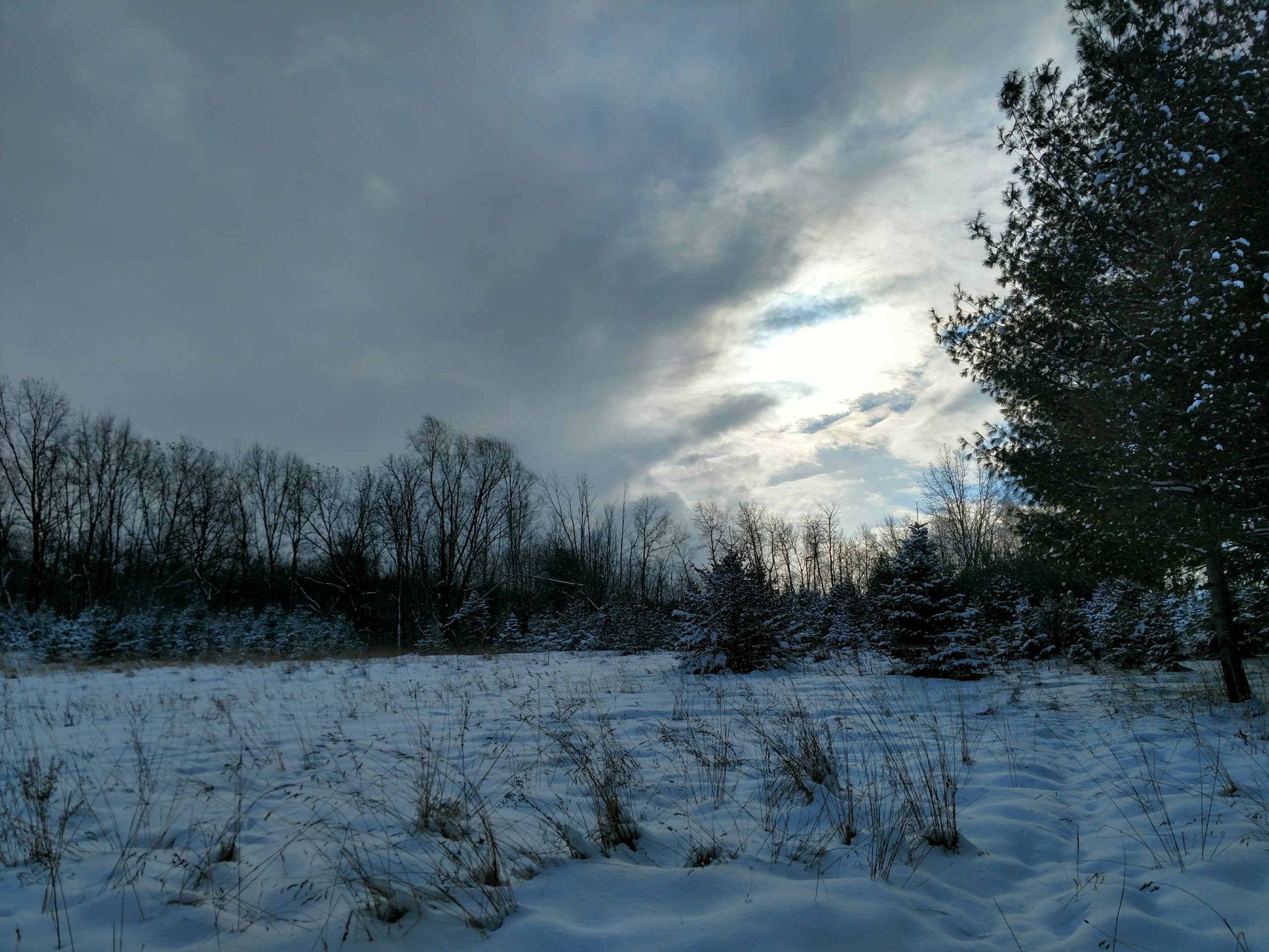 Bitter Cold Landscape