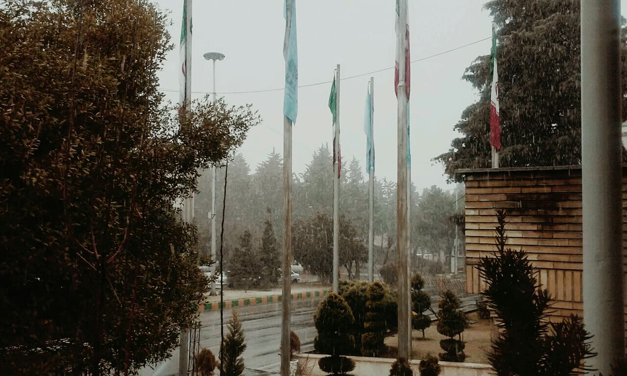 Rain and Fog