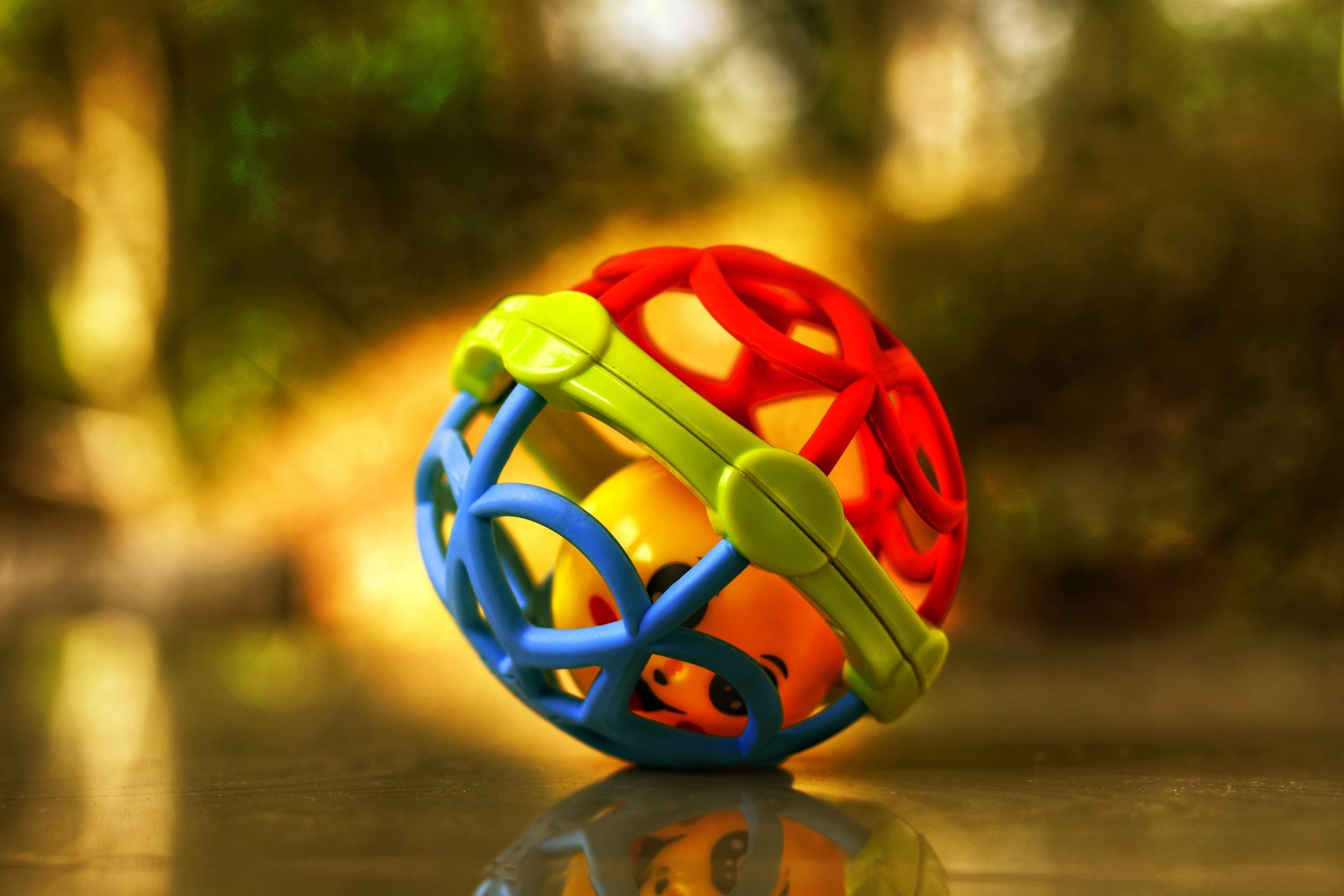 Toy