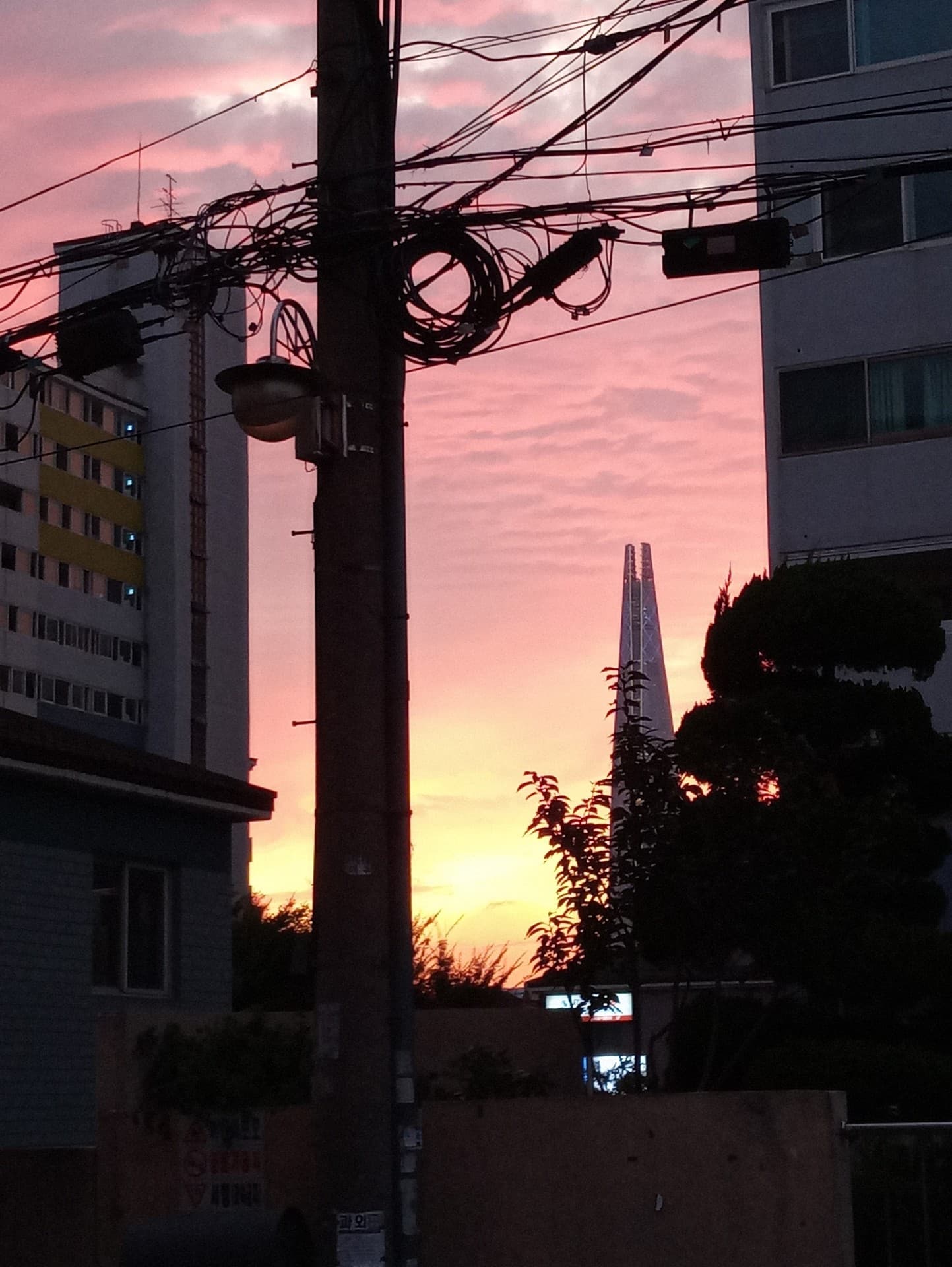 pinksky