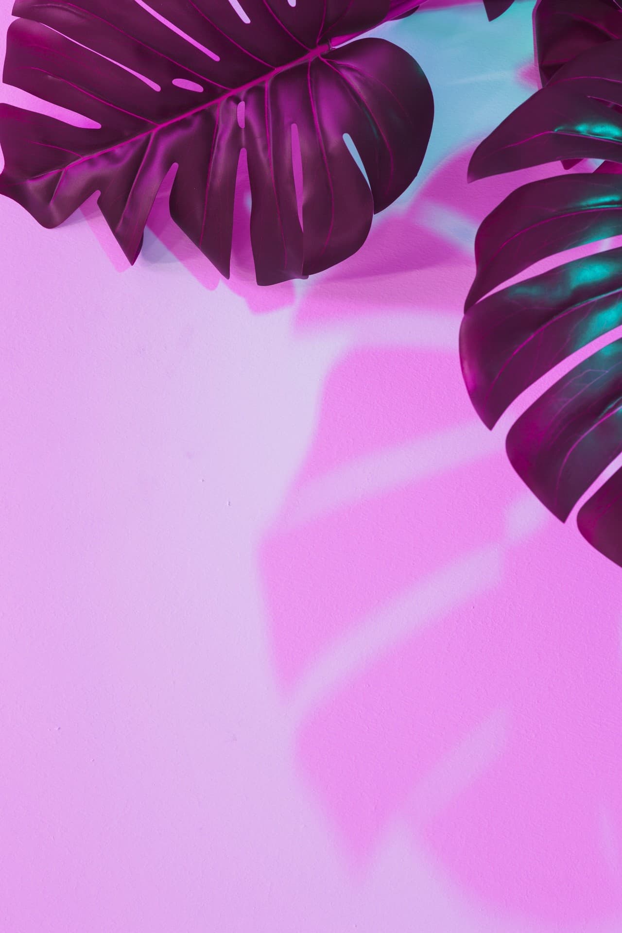 Pink Leaves