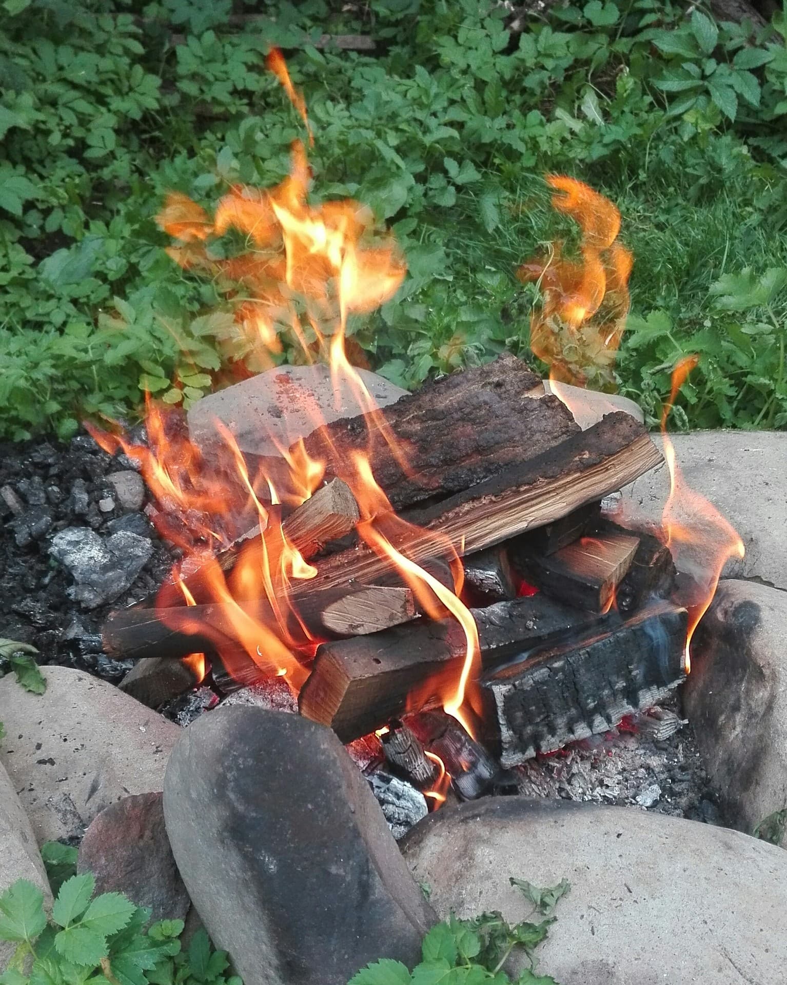 bonfire